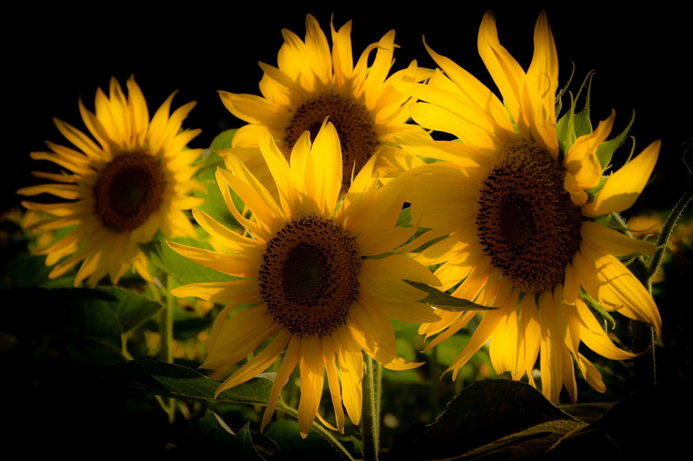 thinking of a famous painter...