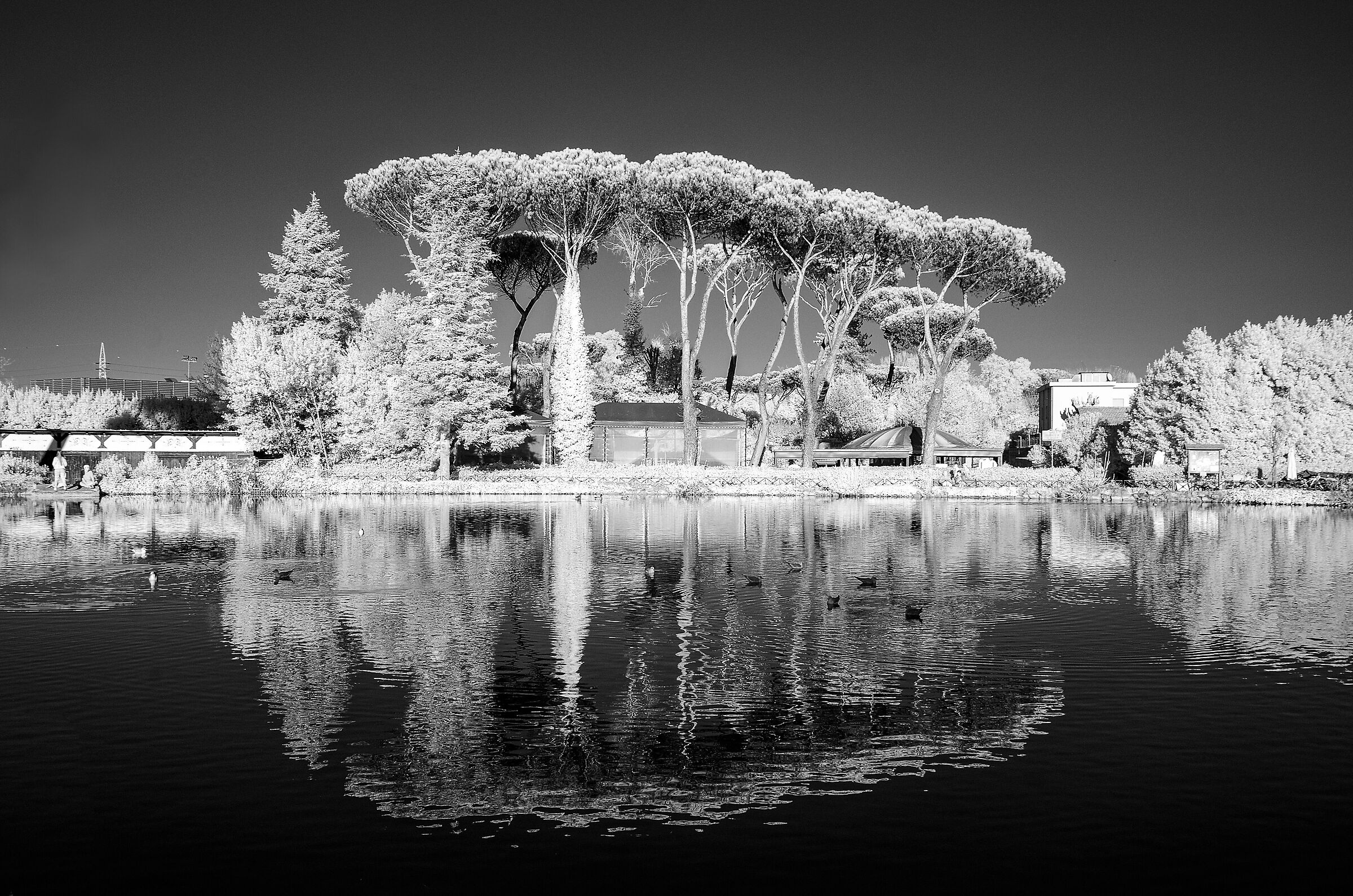 Villa Ada