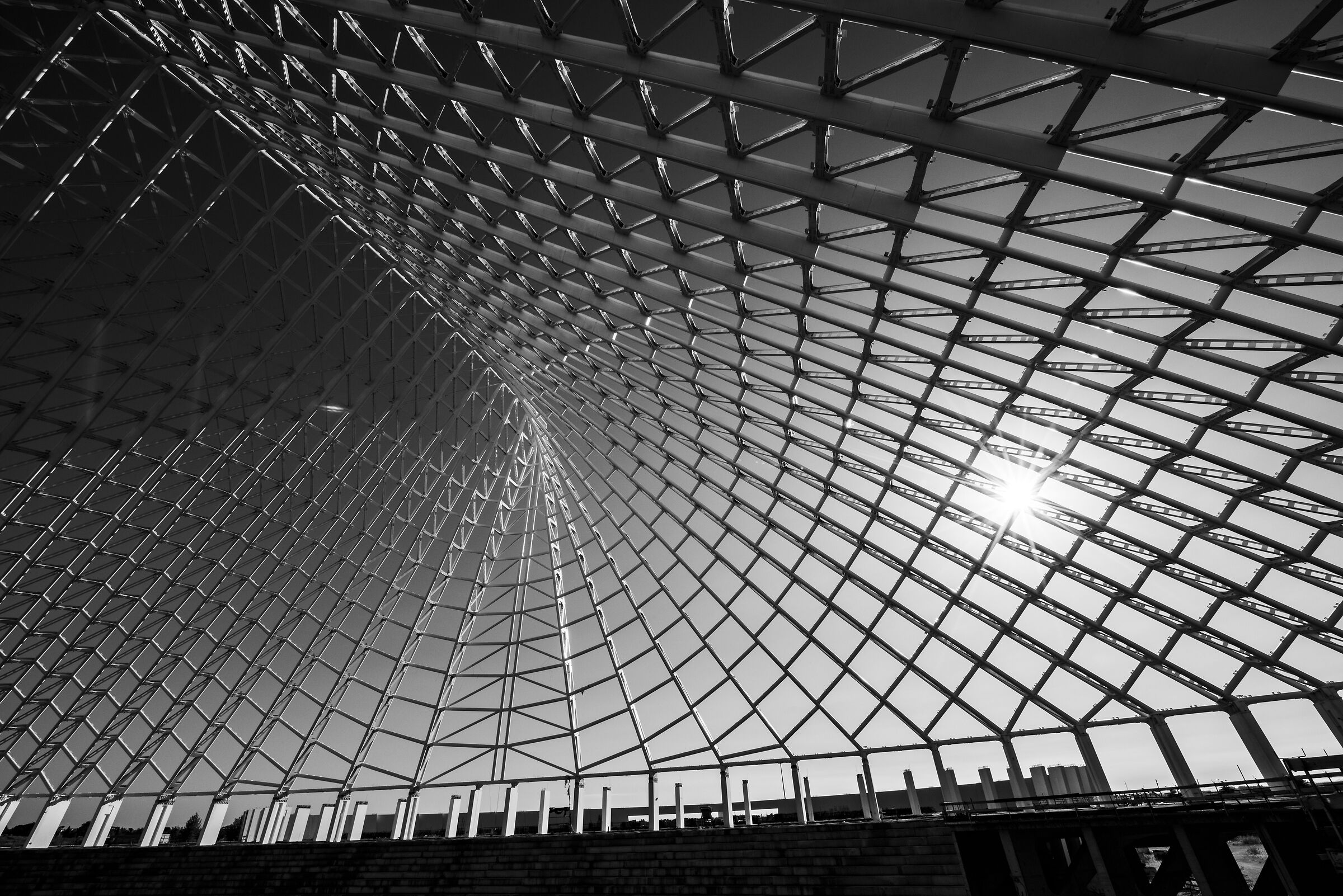 Calatrava sail