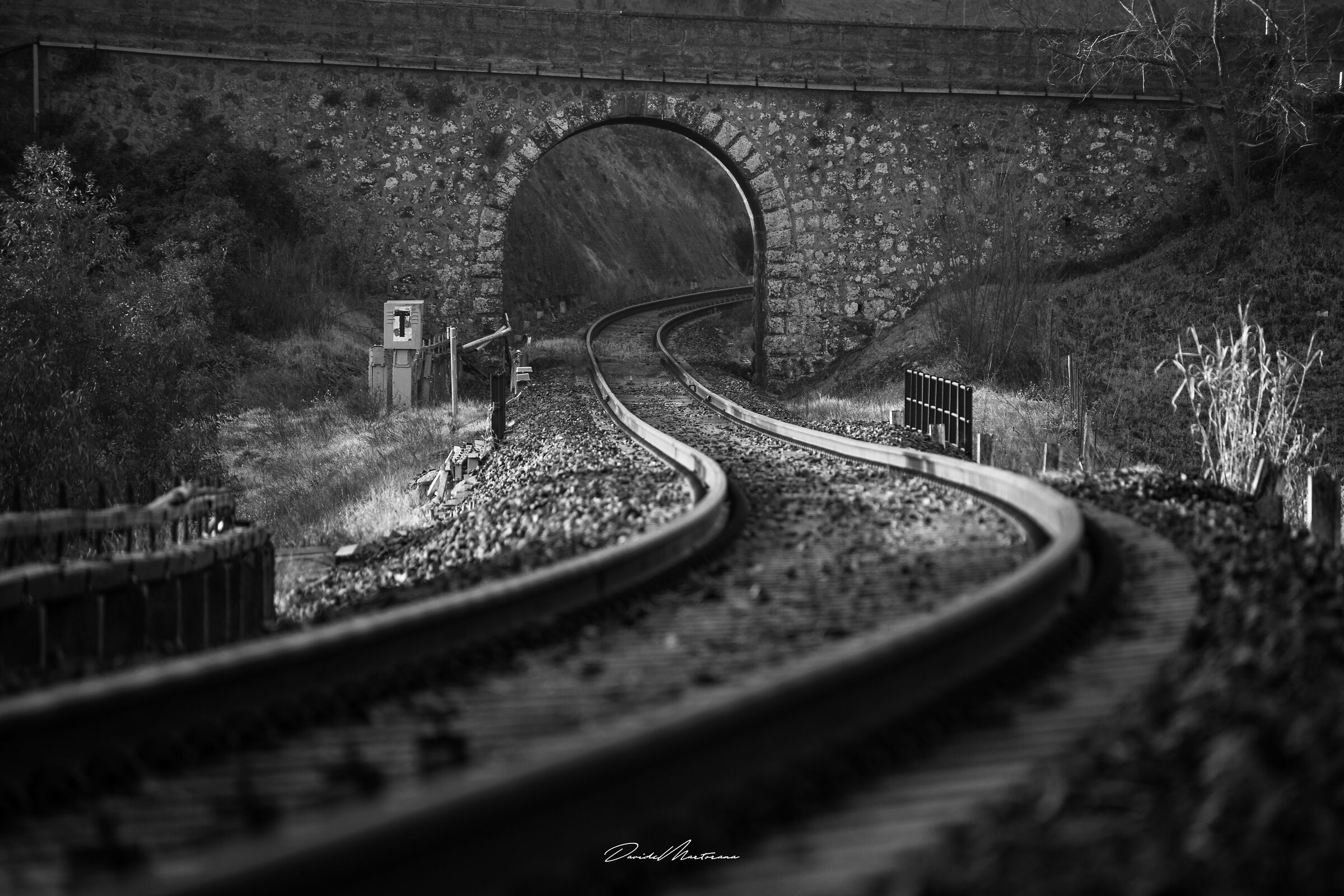Old Rail Train In Sicily 1