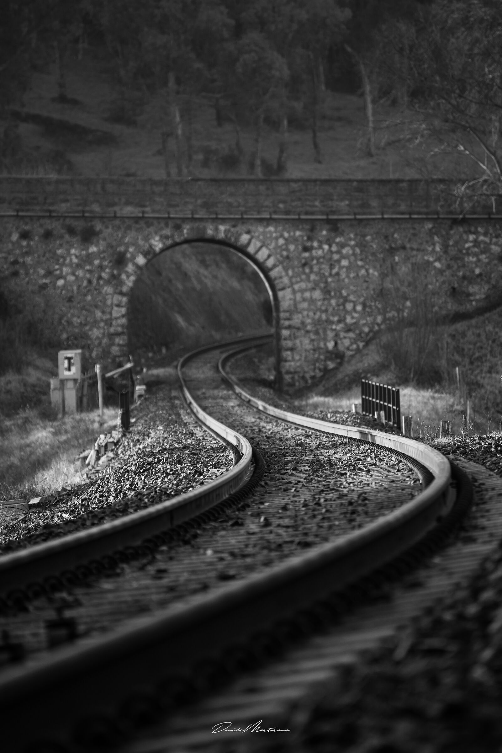 Old Rail Train In Sicily 3