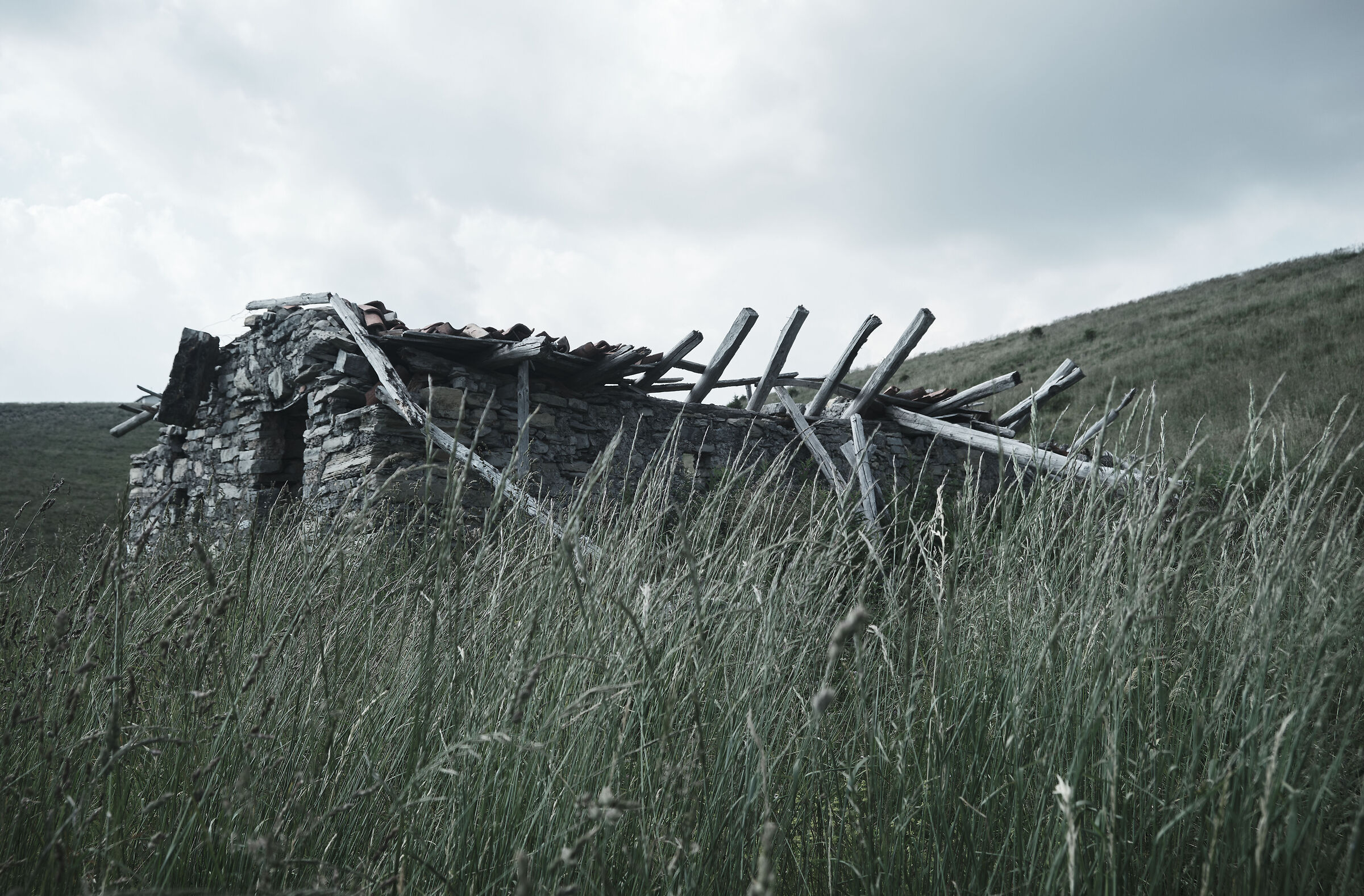 Eternal ruined cabin