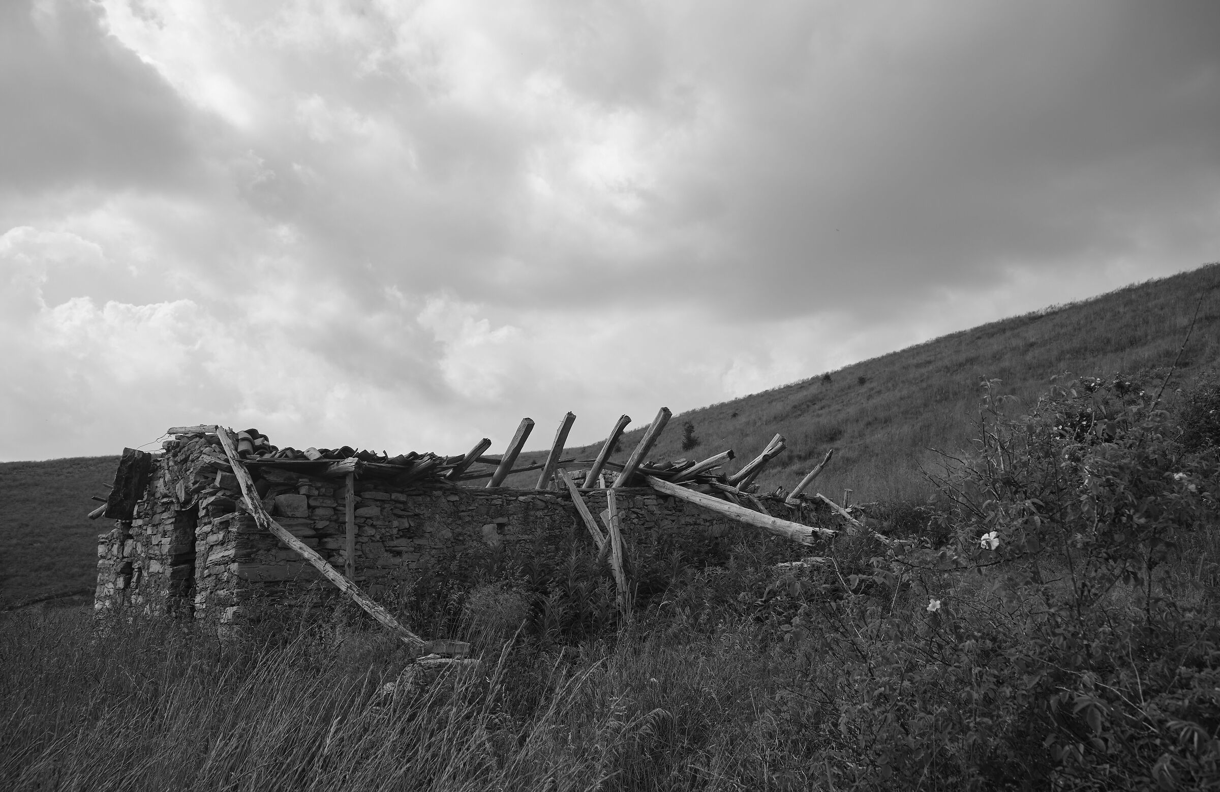 Ruined cabin b & n - 3