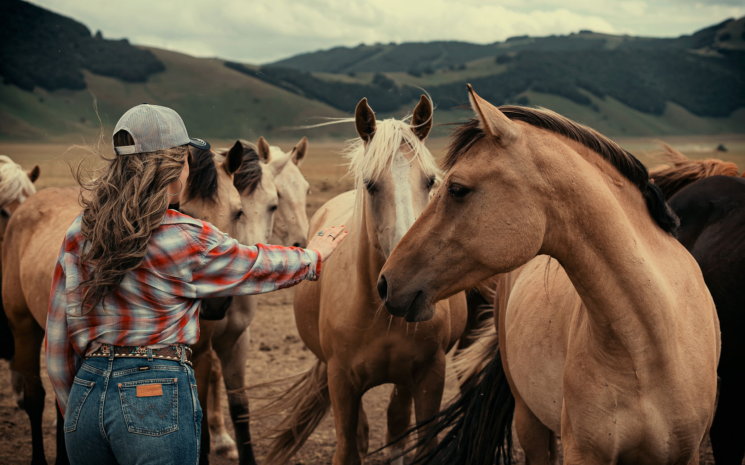 Castelluccio di Norcia (Sibillini Ranch)