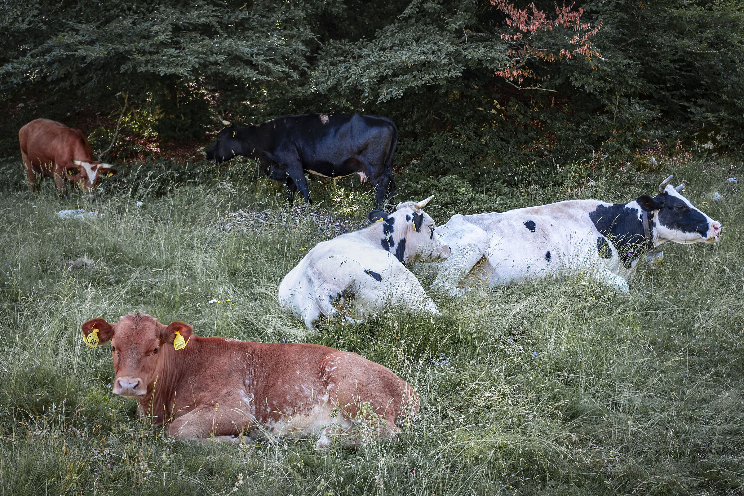 And what do you want?