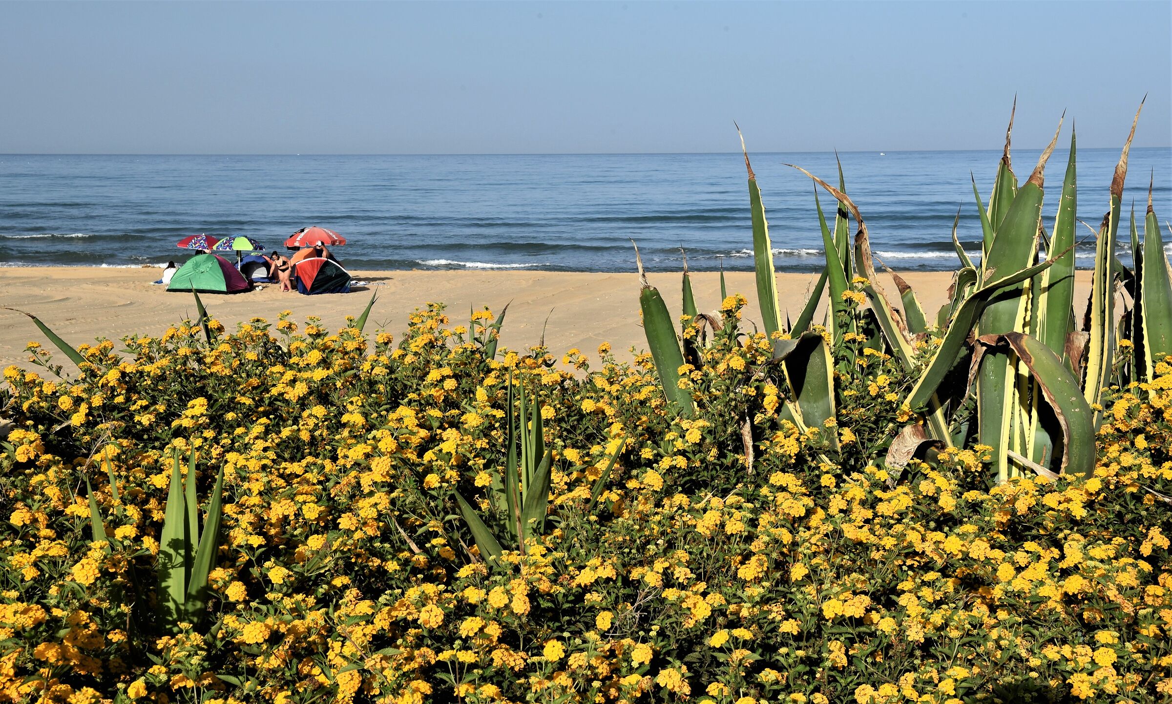 Scoglitti, riviera Lanterna