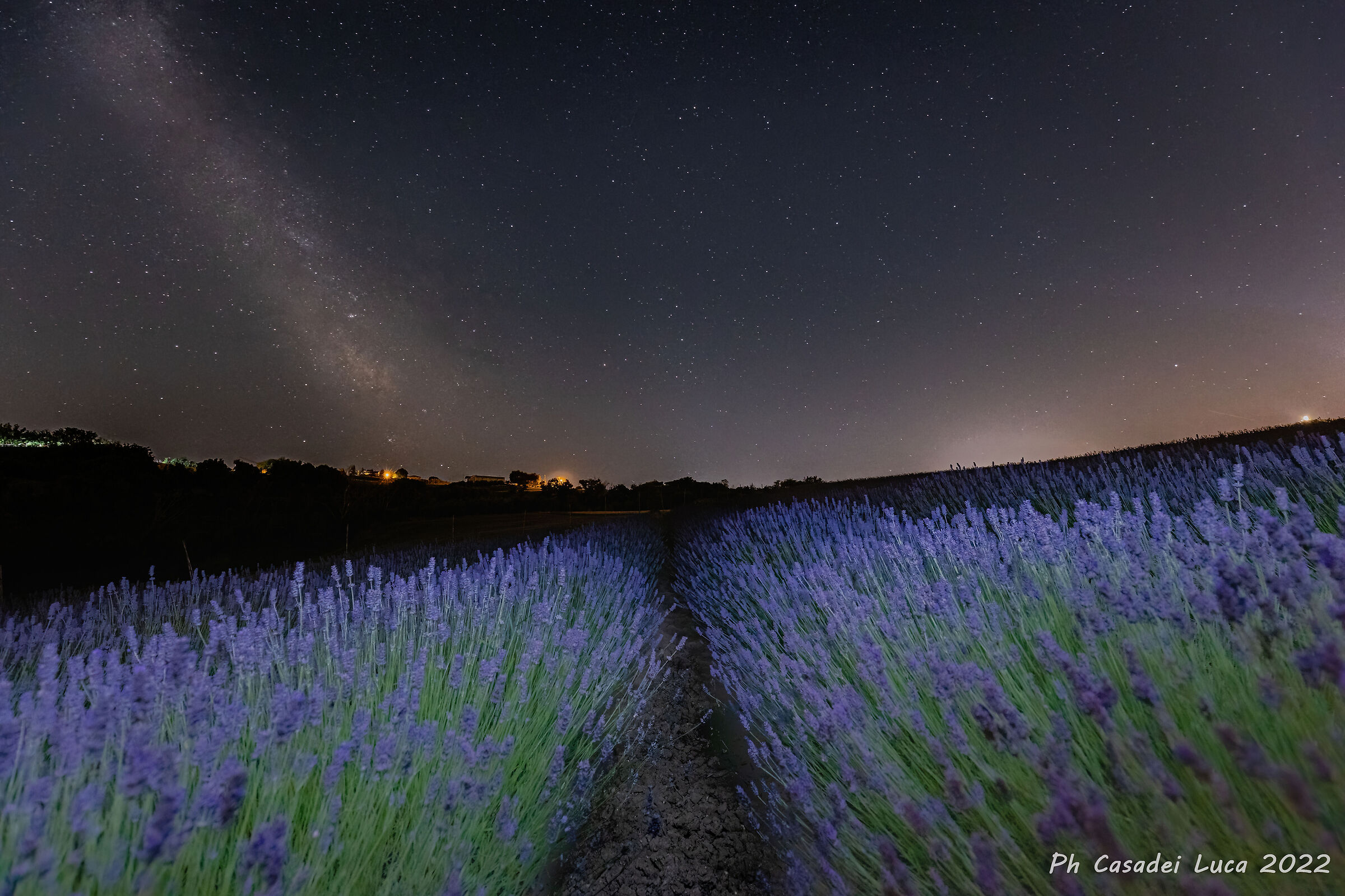 Via Lattea e Lavanda