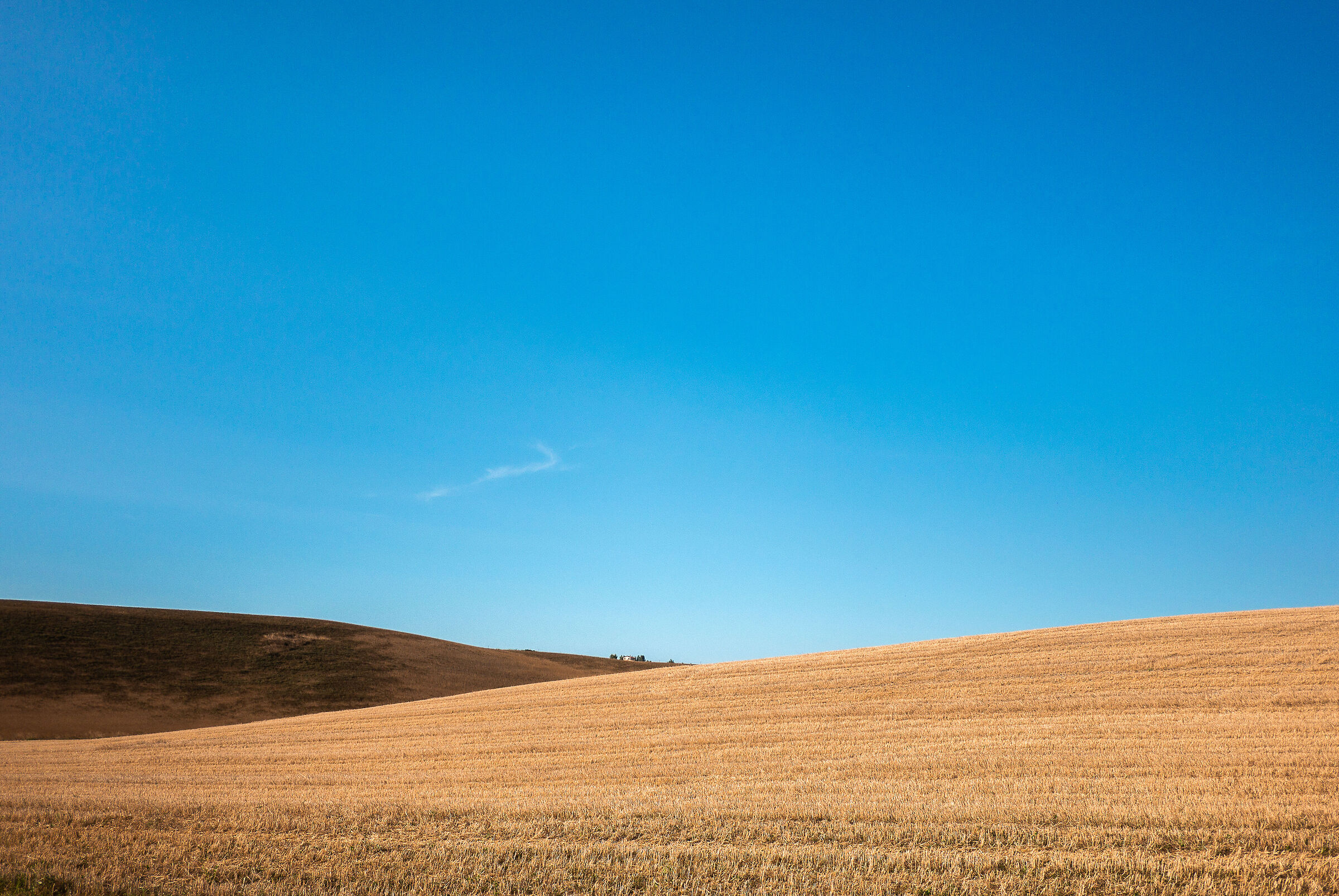 TUSCANY LANDSCAPES