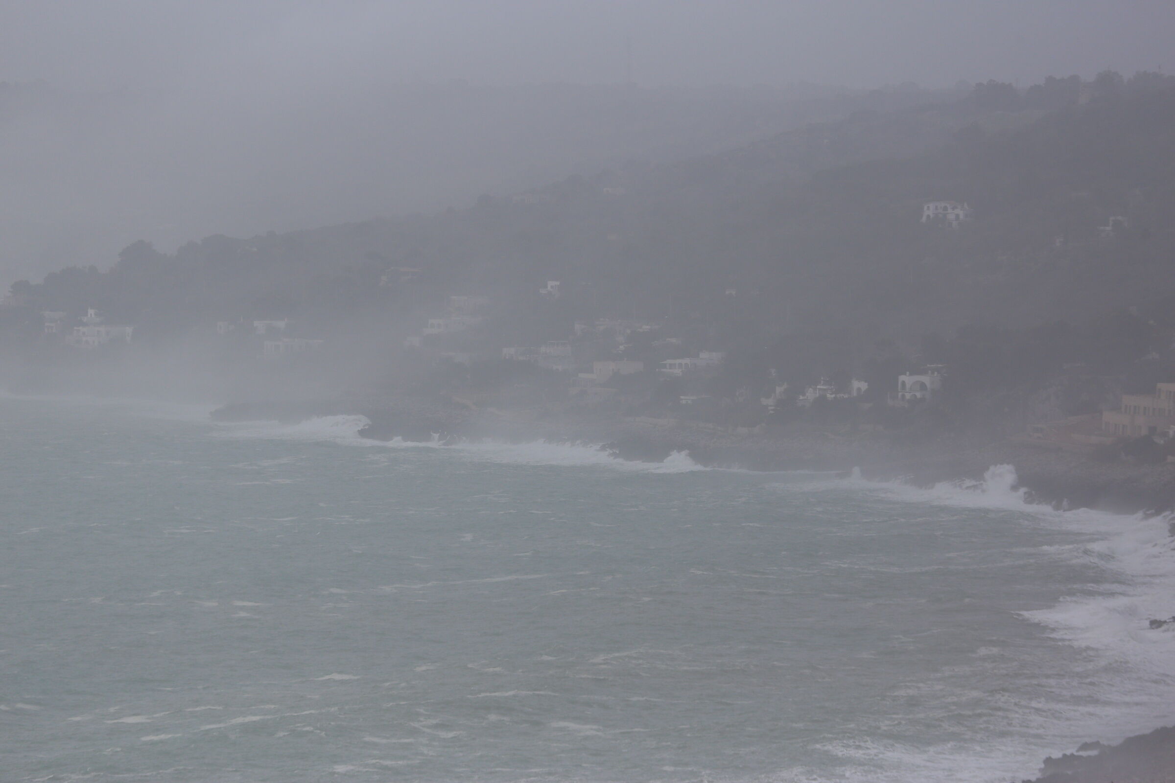 @ 200, 1/ 4.0 0 0, F. 6.7, ISO 500- 6D, DO