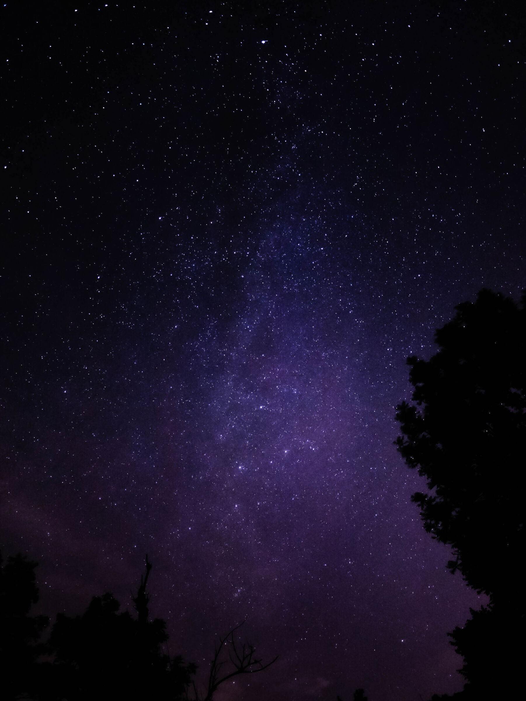 SPACE TRIP