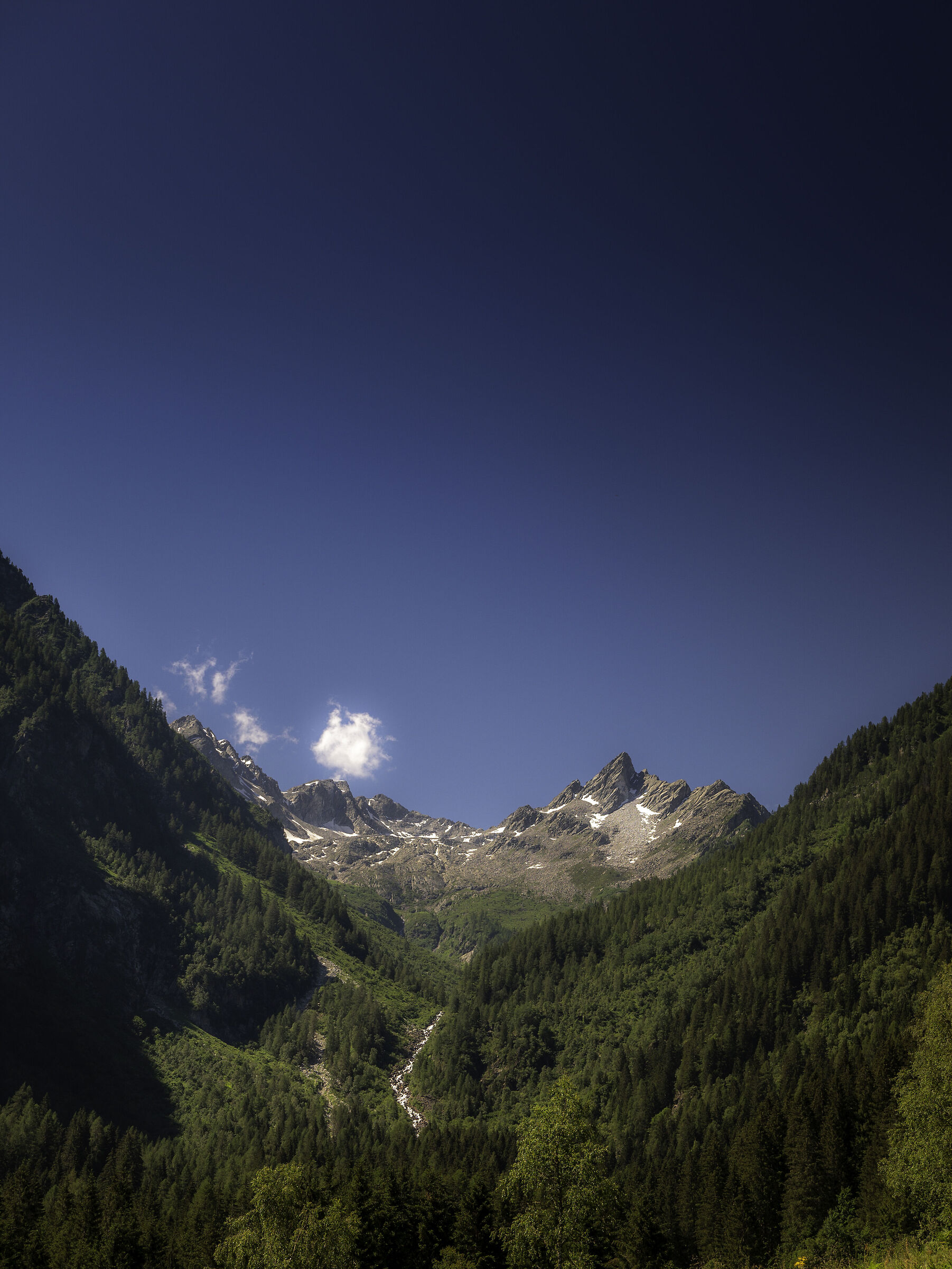 GRAN PARADISO
