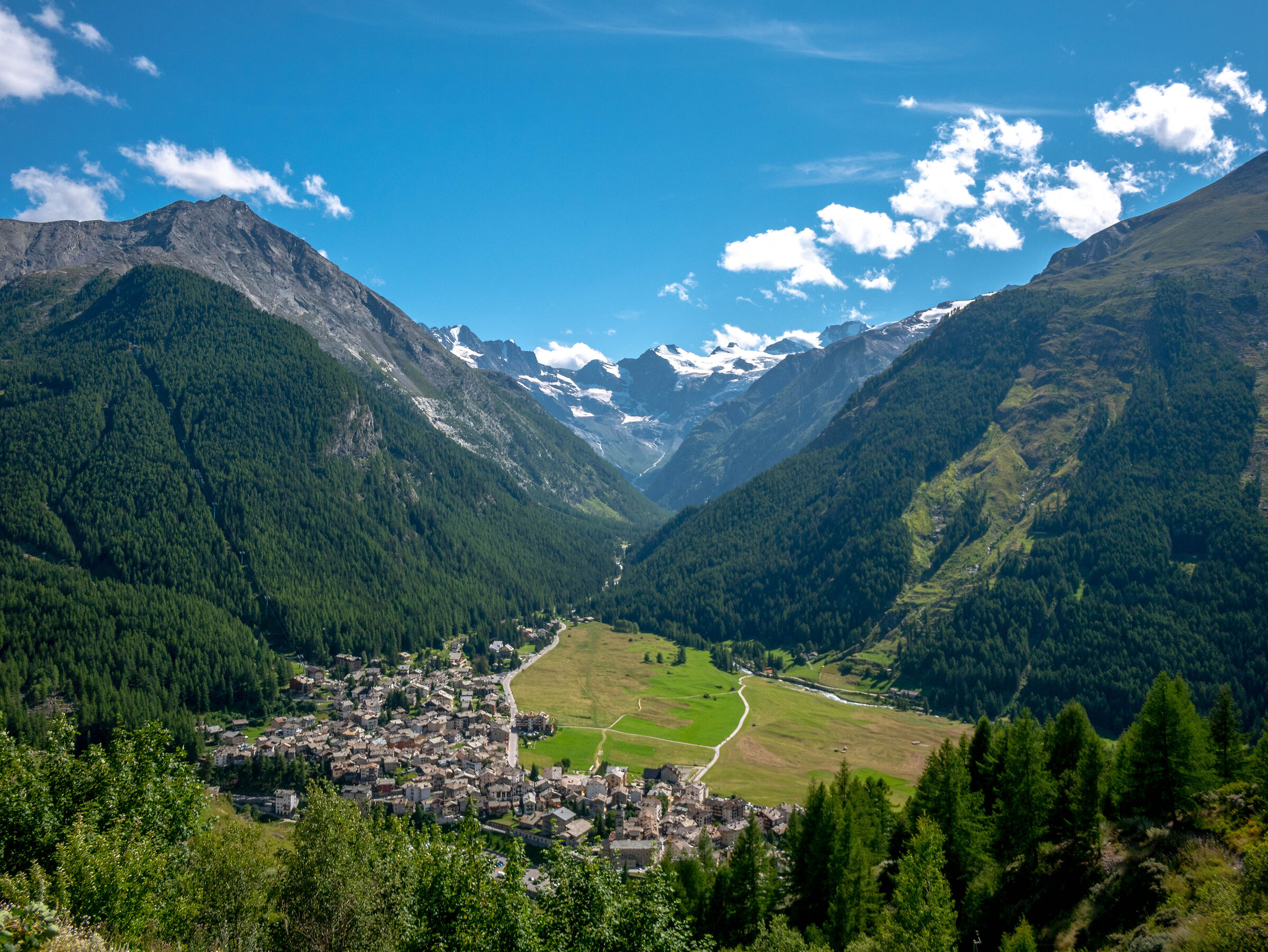 COGNE