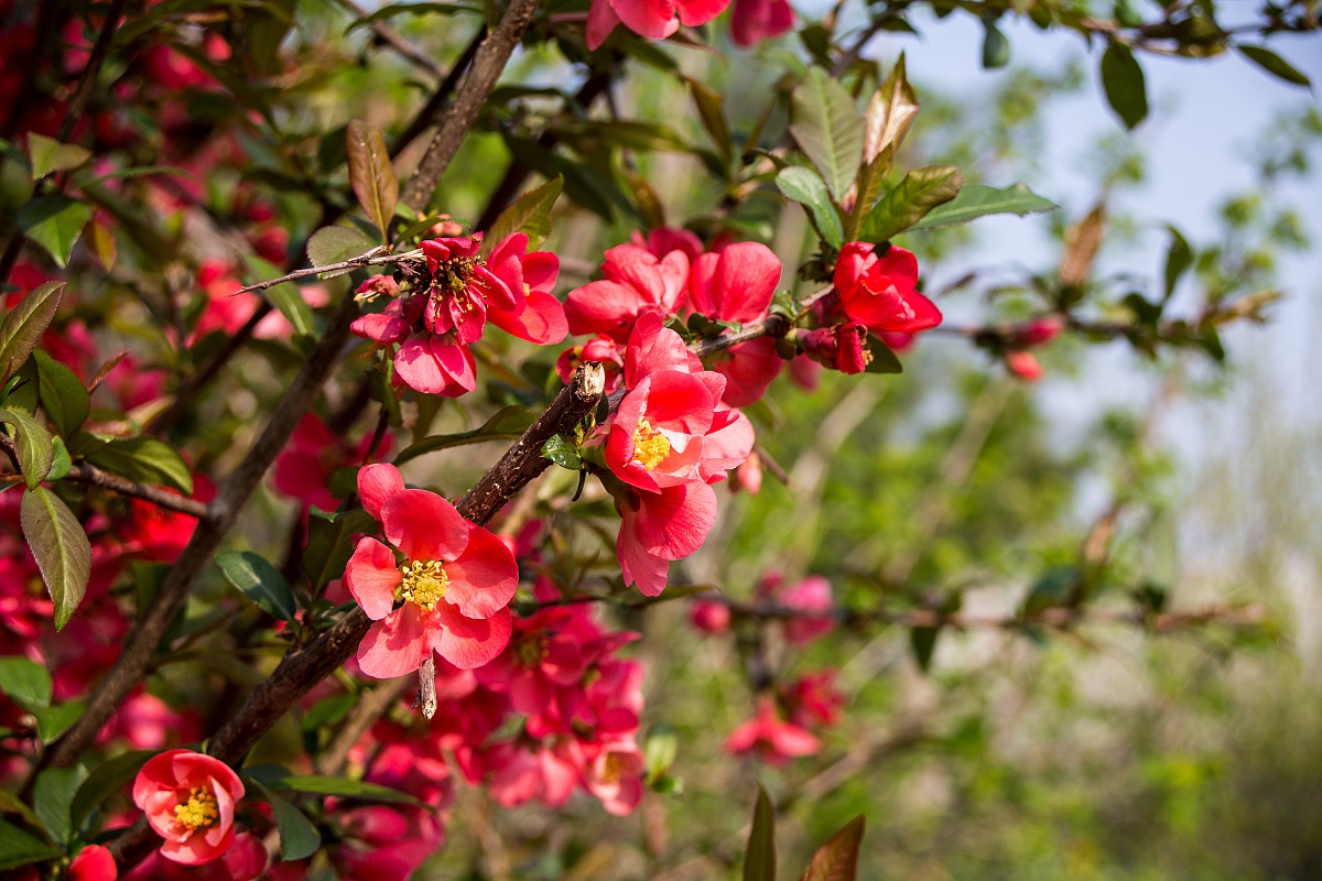 It 's spring ... finally