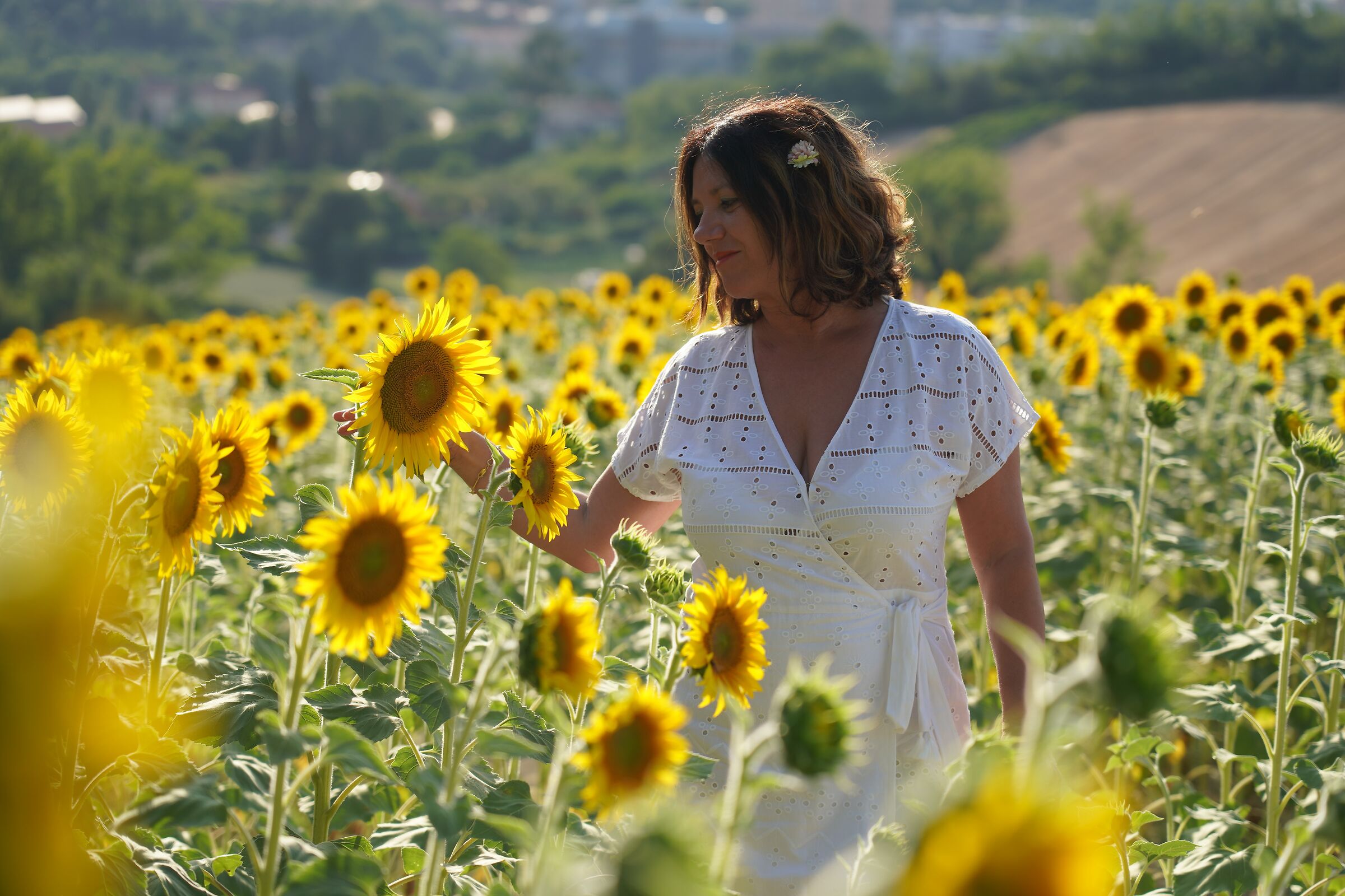 Last ray of sunshine