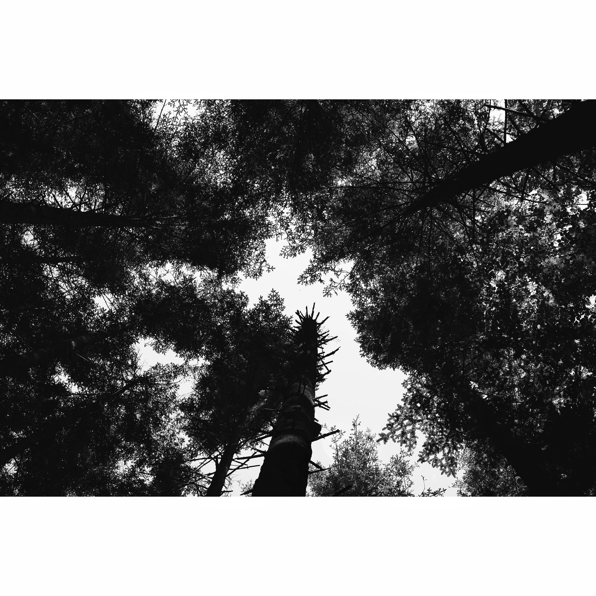 Untitled Photo