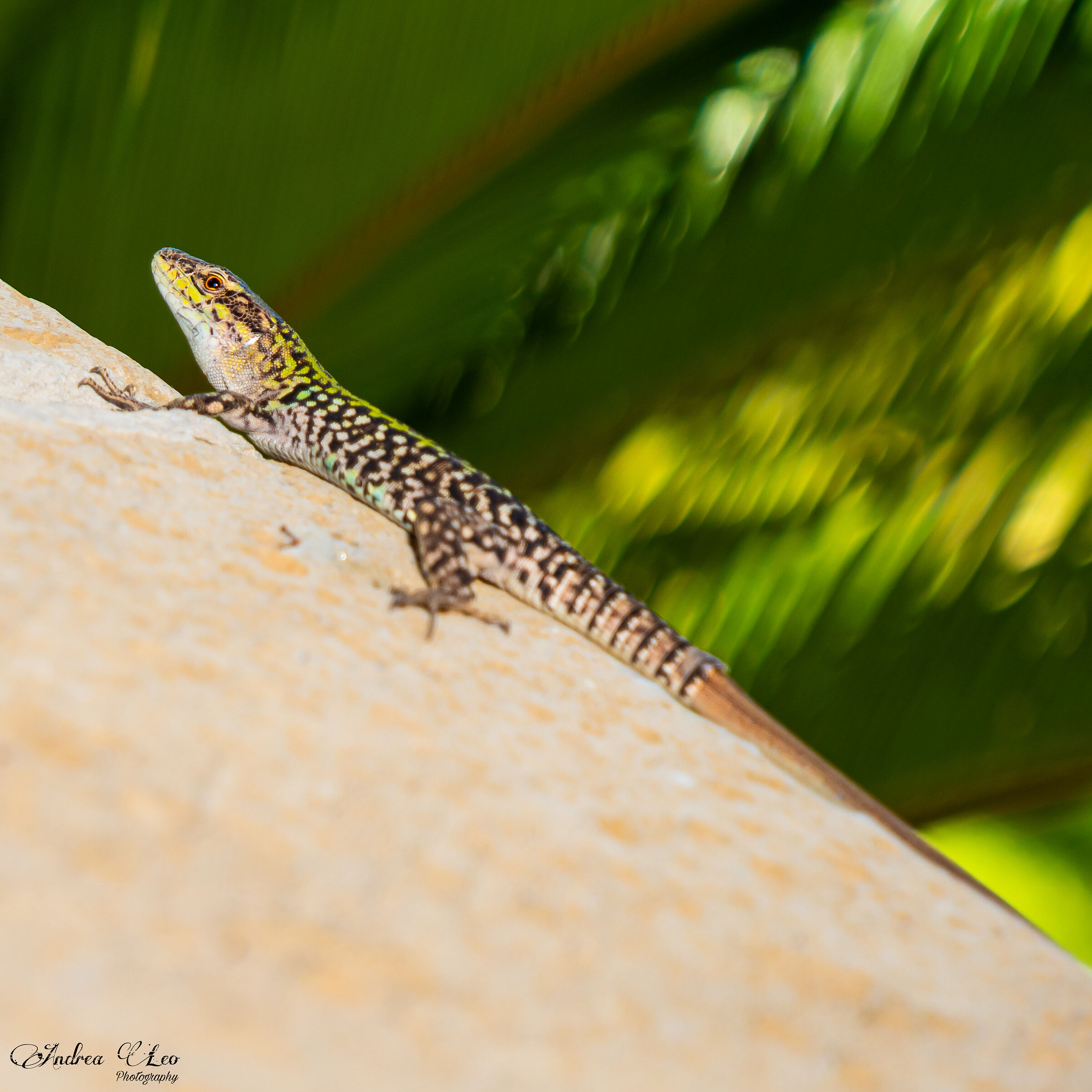 Qualcosa sta cambiando...