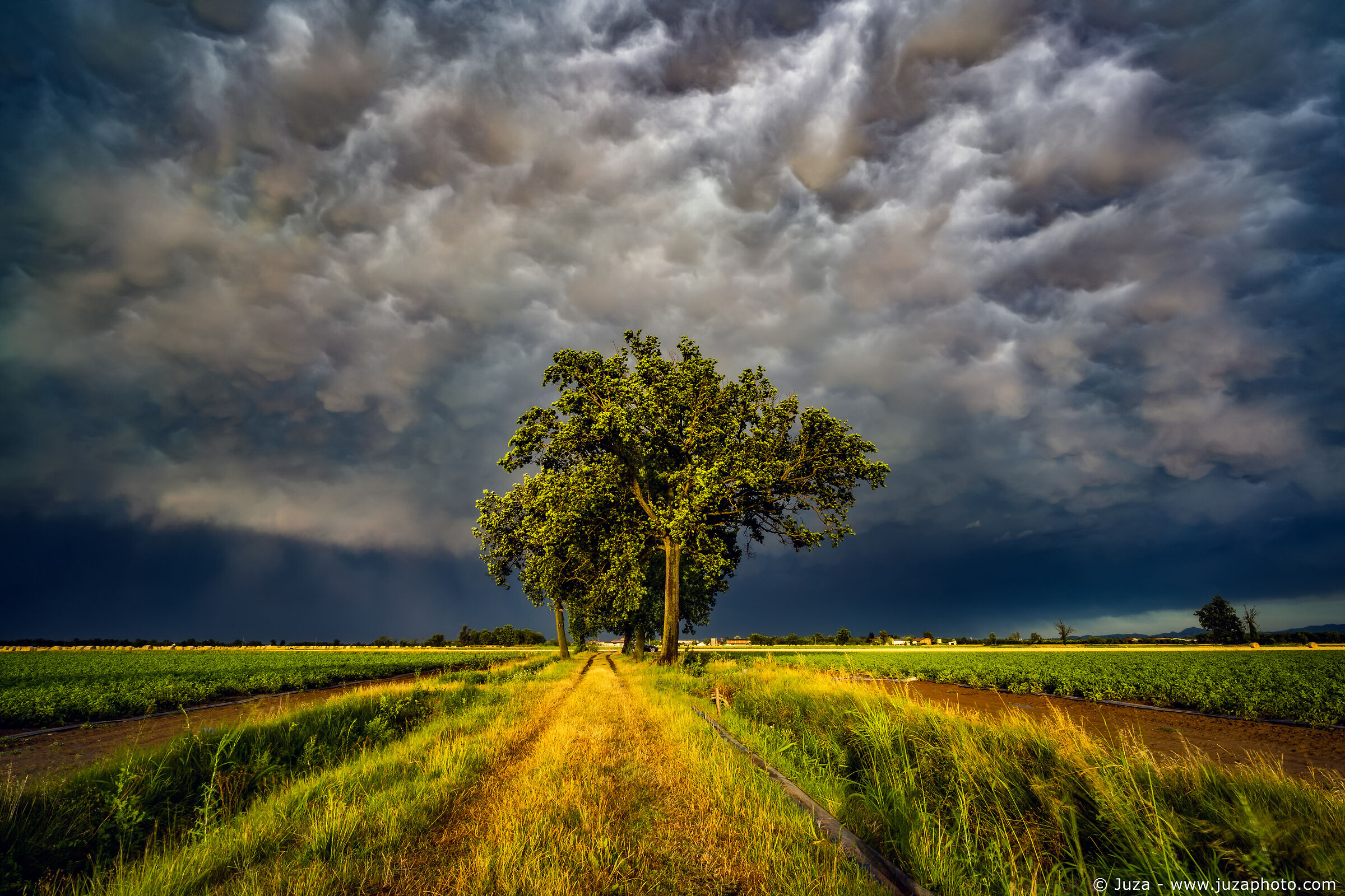 La tempesta (Luglio 2022)