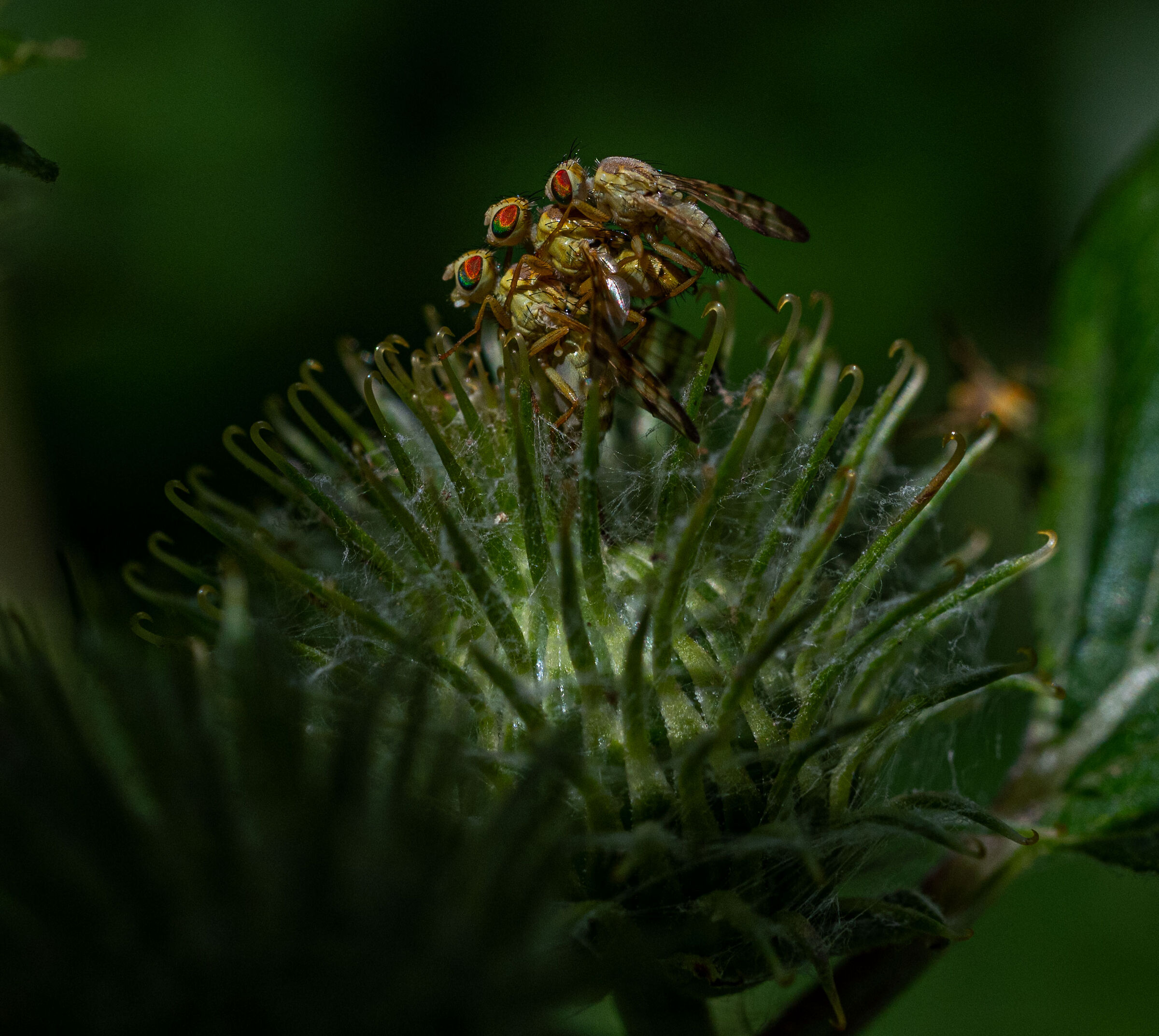 intimità violata....