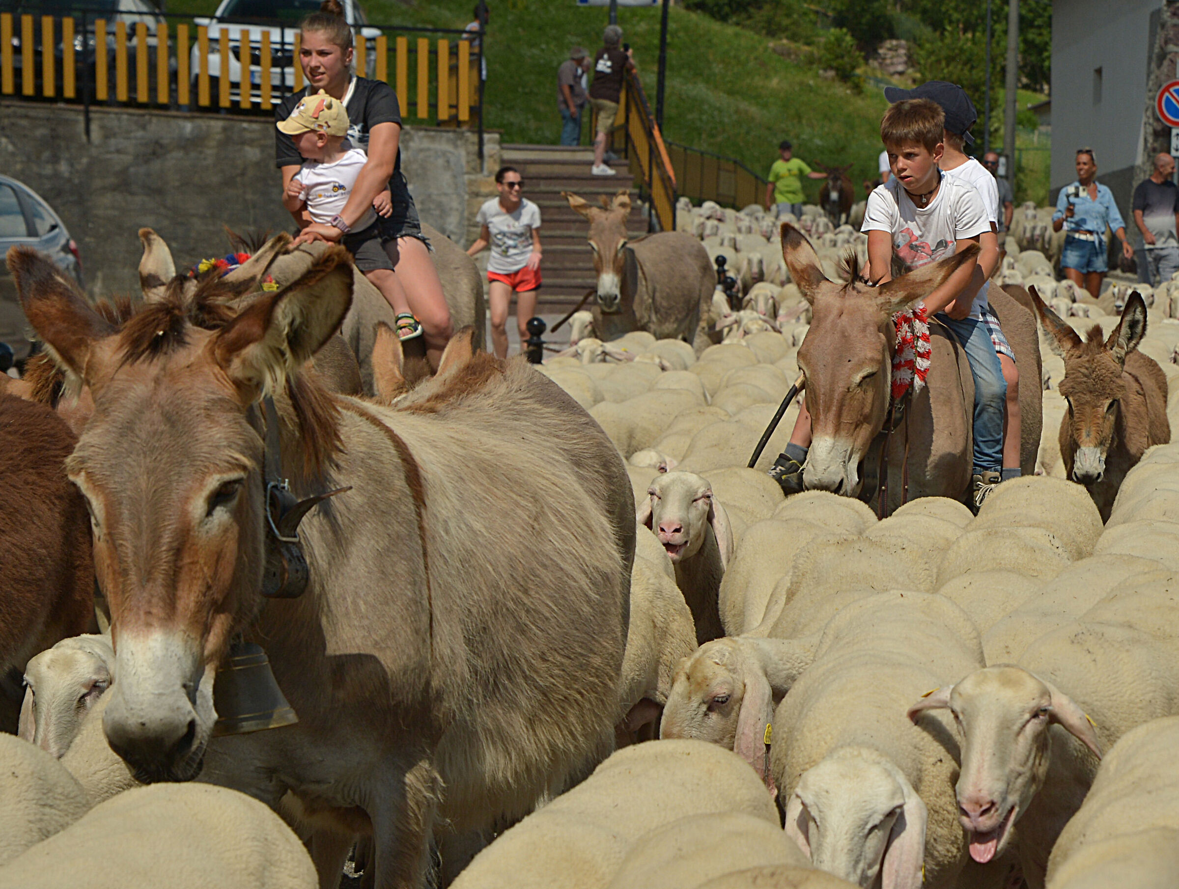 Transumanza in Valcanale