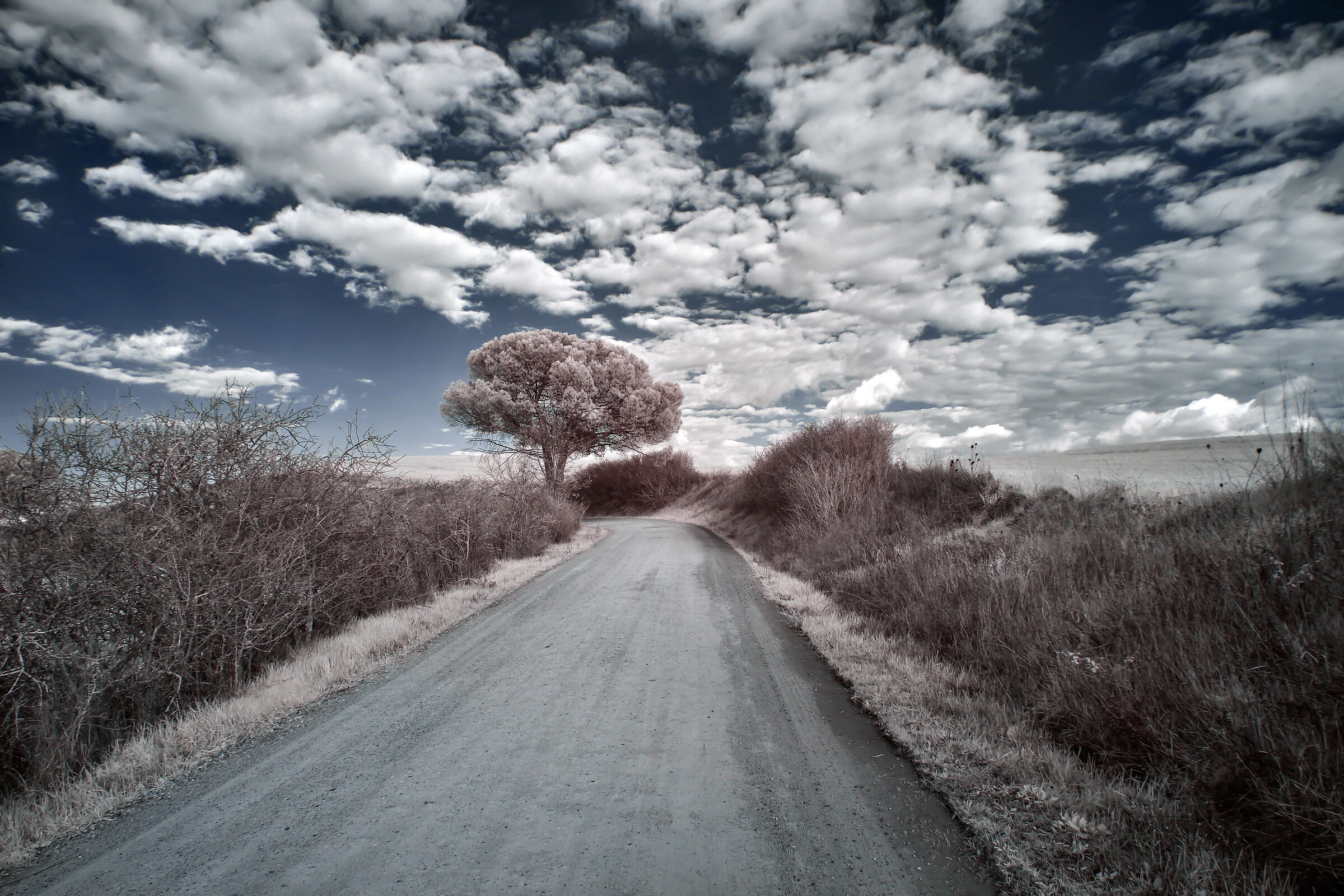 Orcia Valley