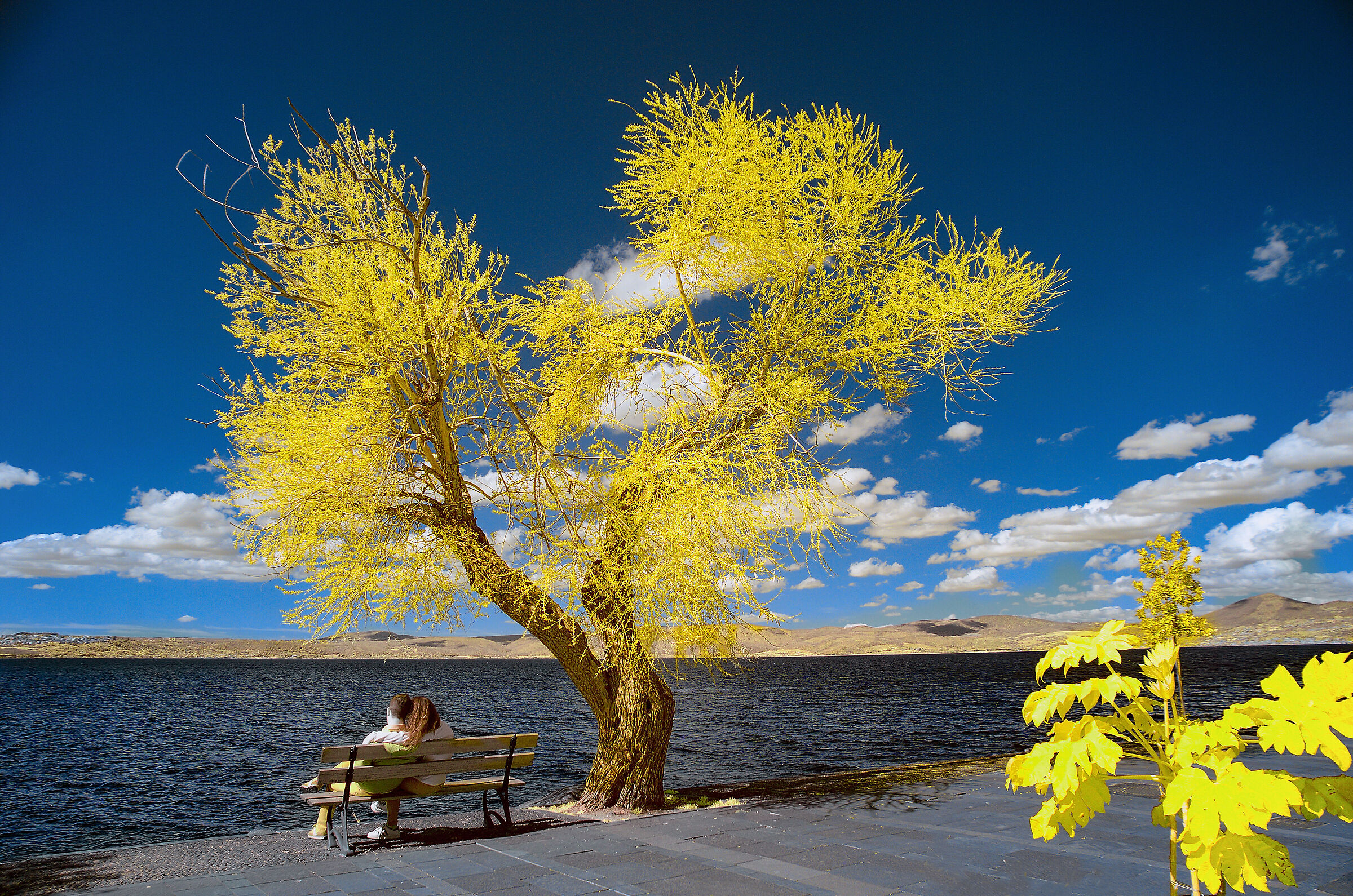 Lake Bracciano