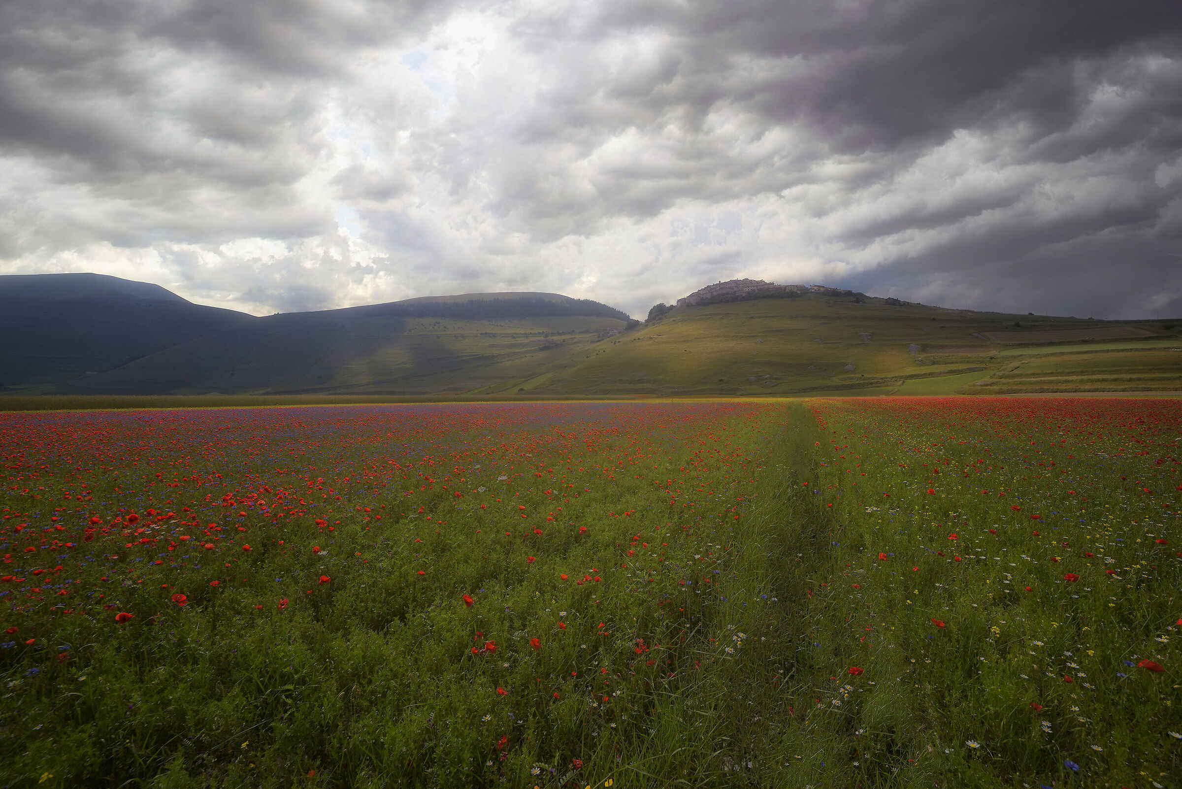 Castelluccio