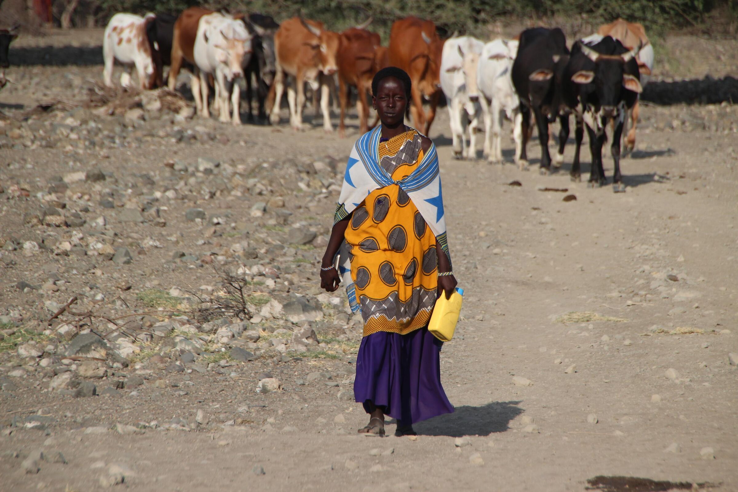 Woman with herd
