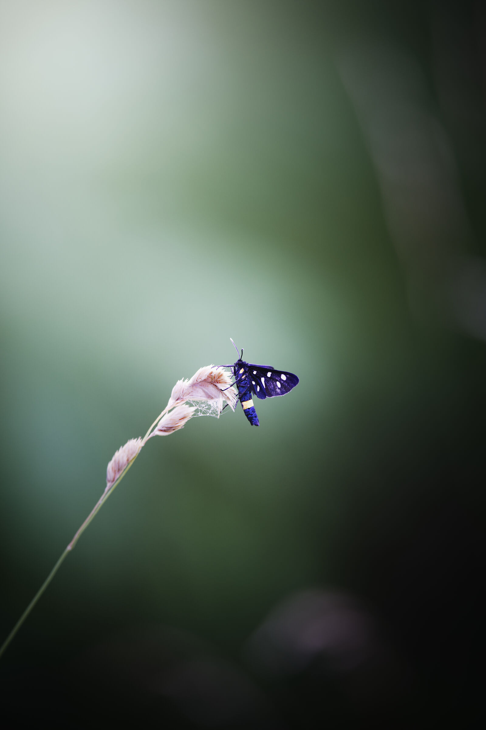 Untitled Photo