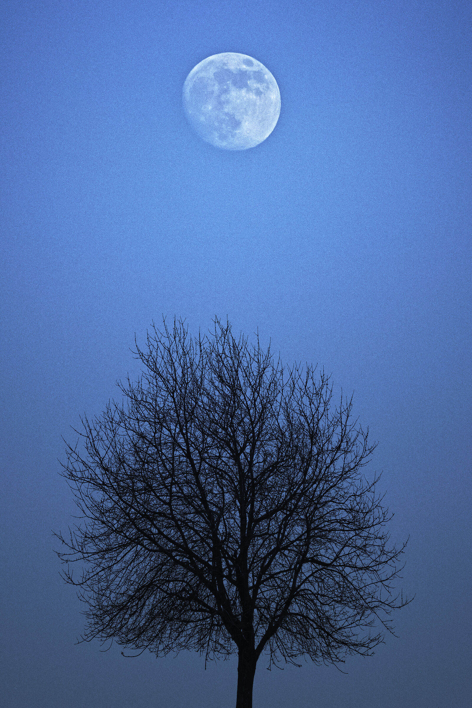 Untitled Photo