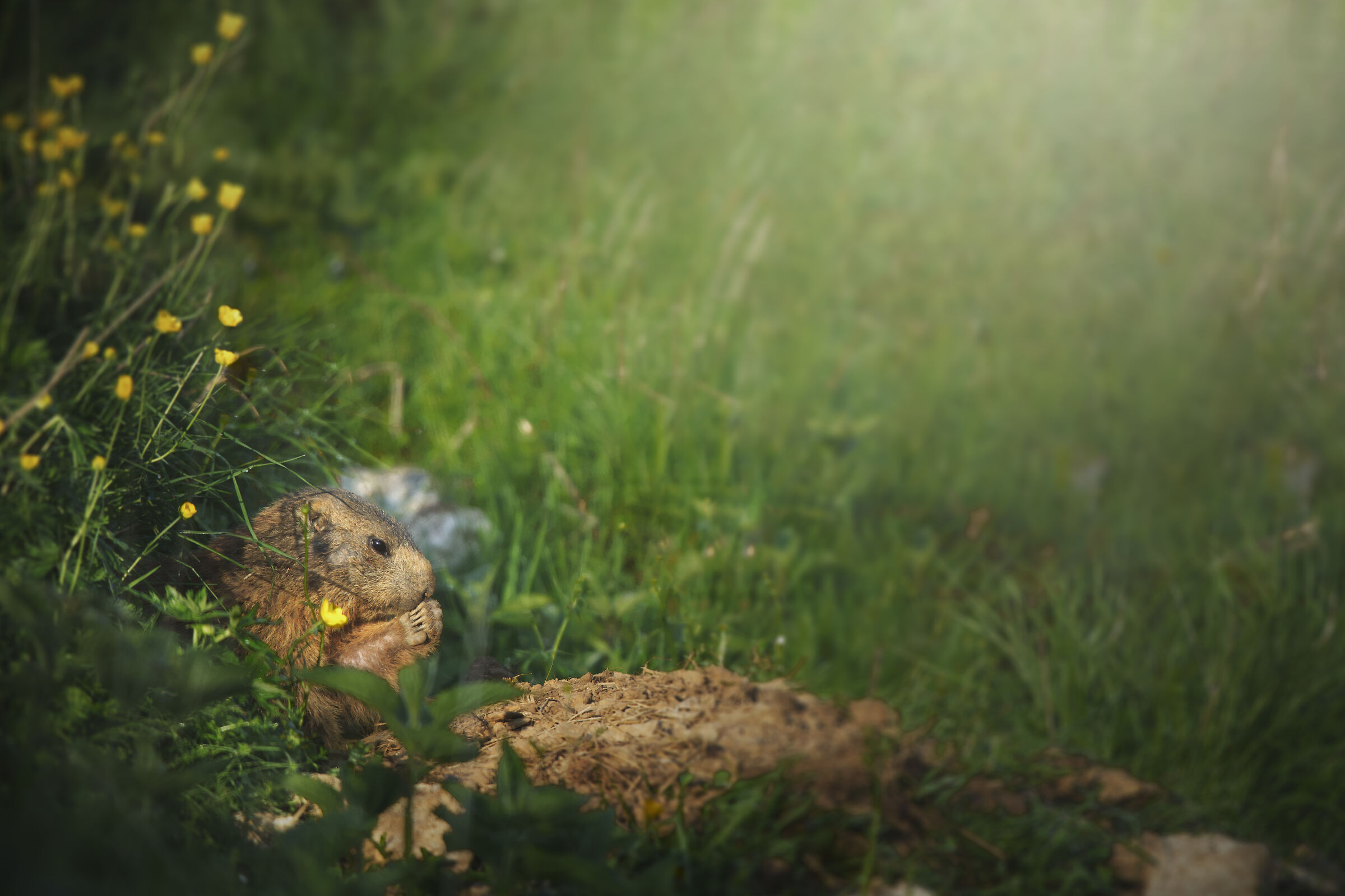 Untitled Photo