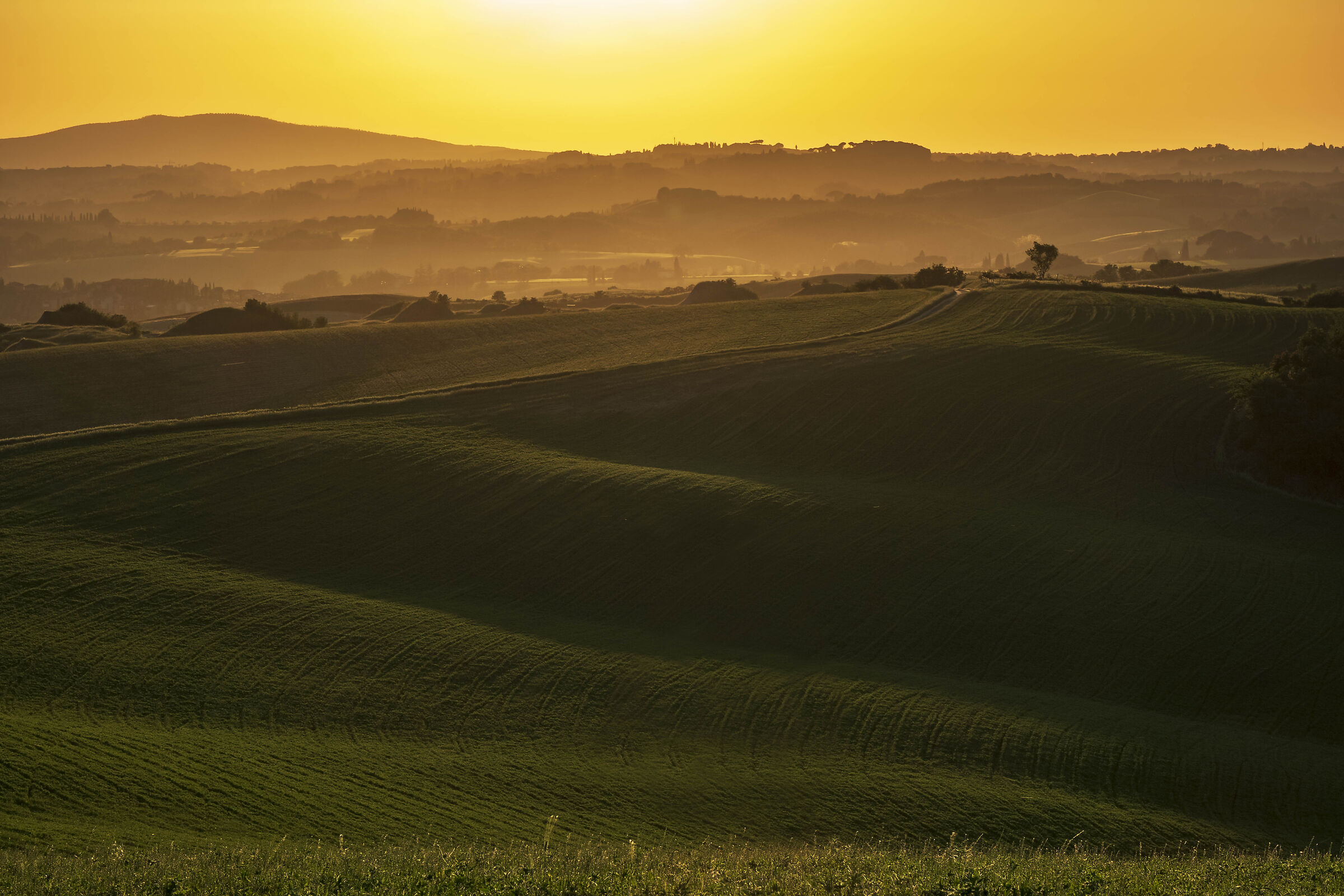 Crete Senesi