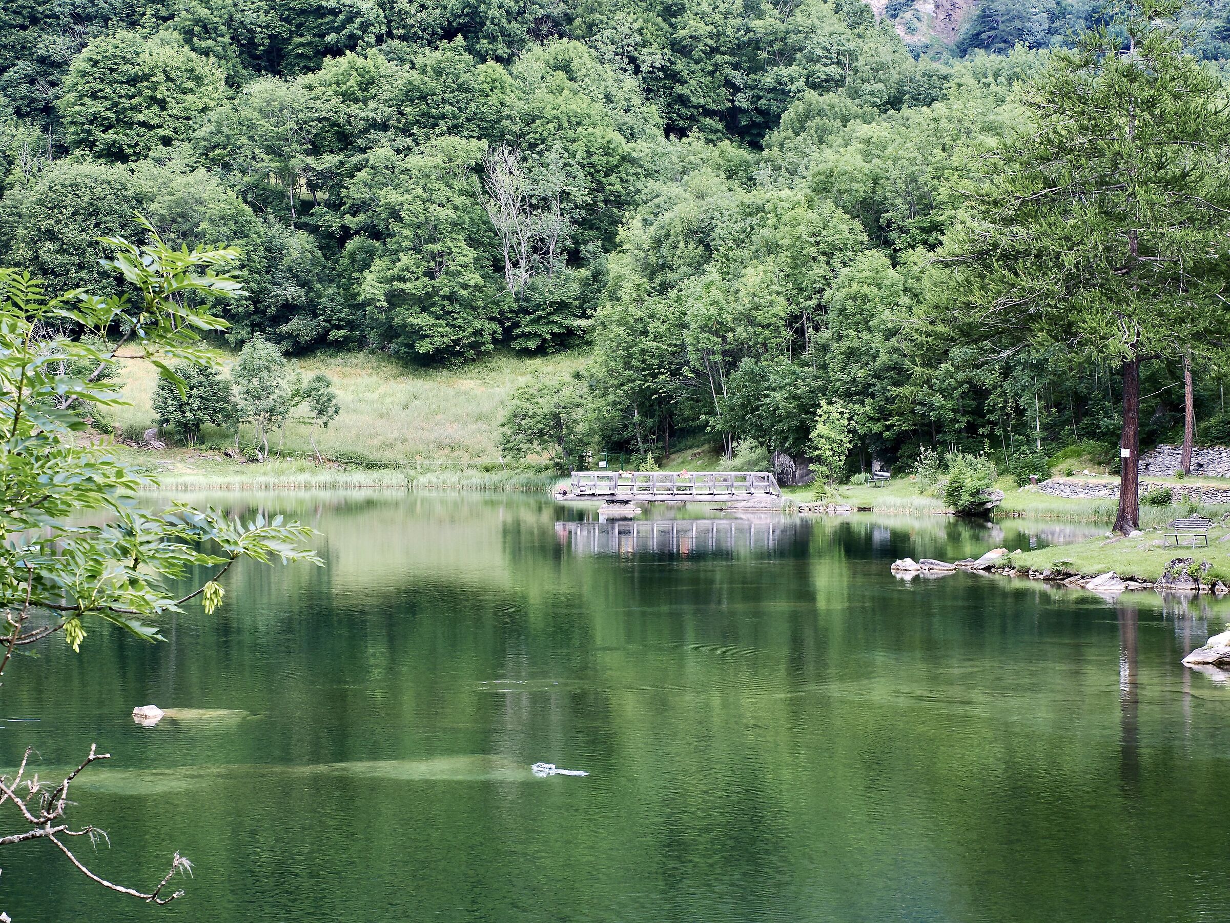 Small Lake Of Mont Cenis