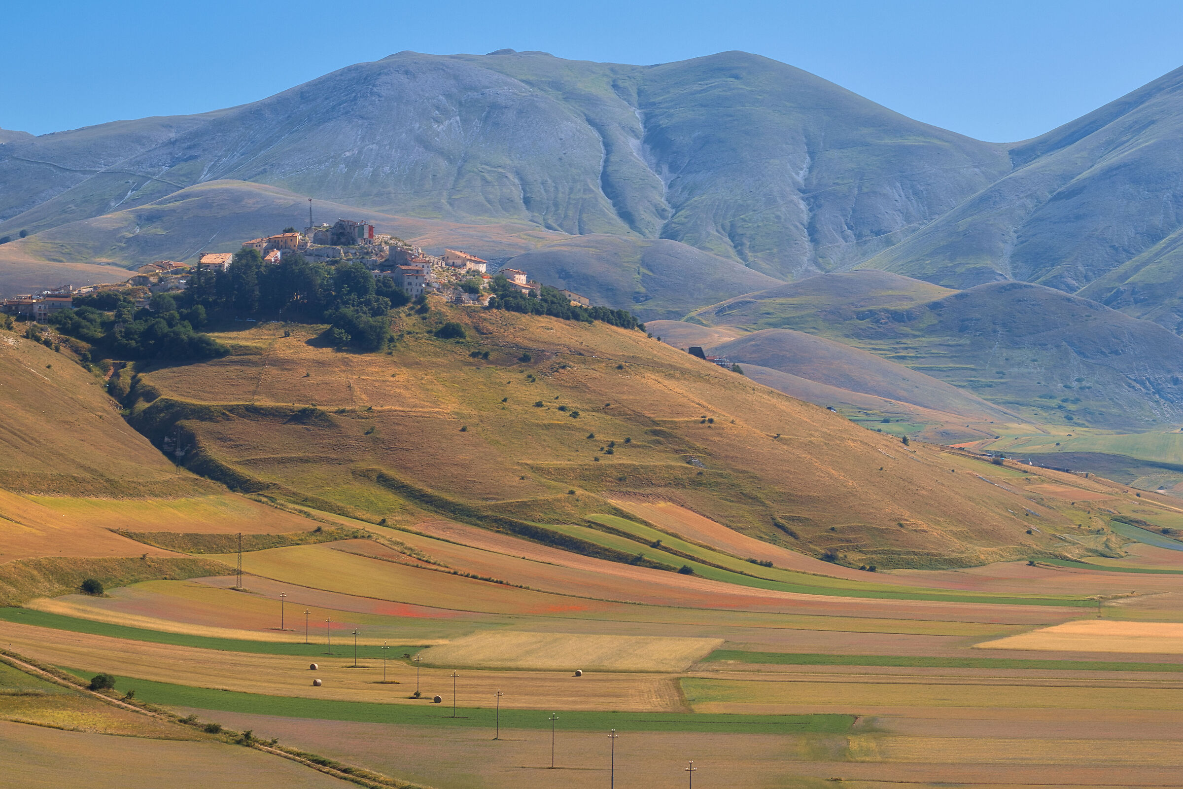 Flowering Castelluccio