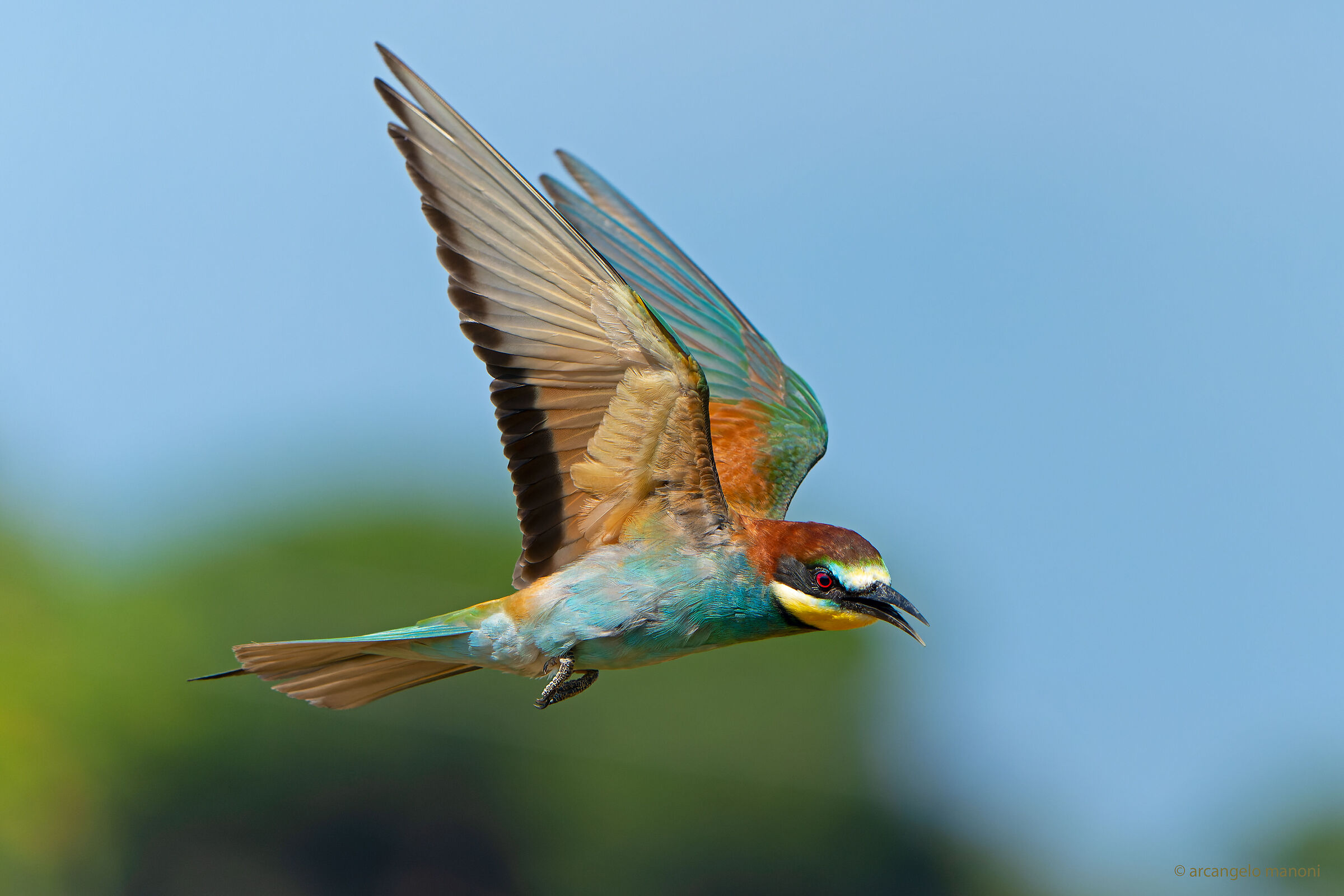 Multicolor lightning in action