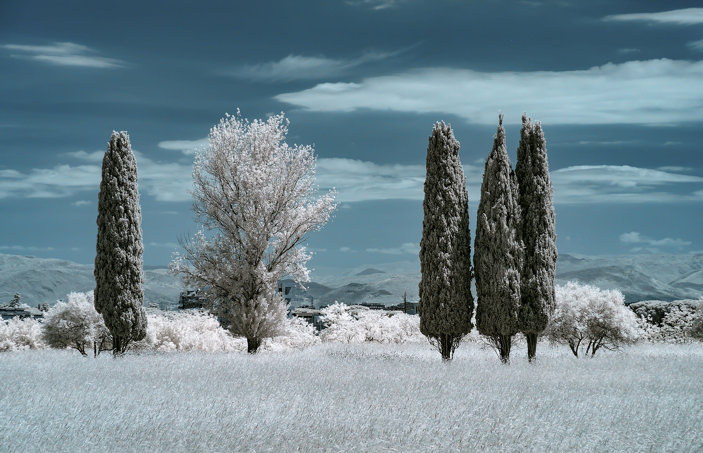 along the Appian Way