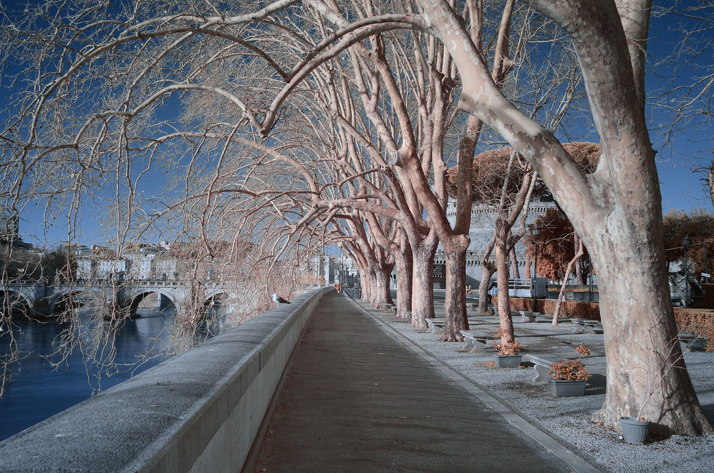on the Lungotevere