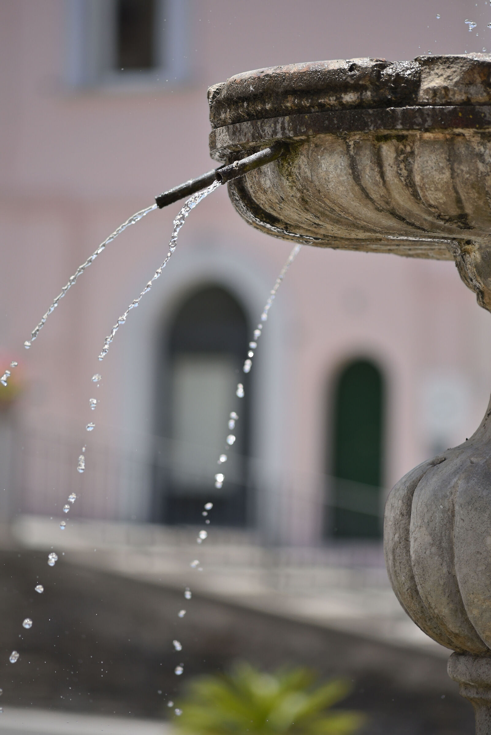 Test Nikkor 200 Ai f4