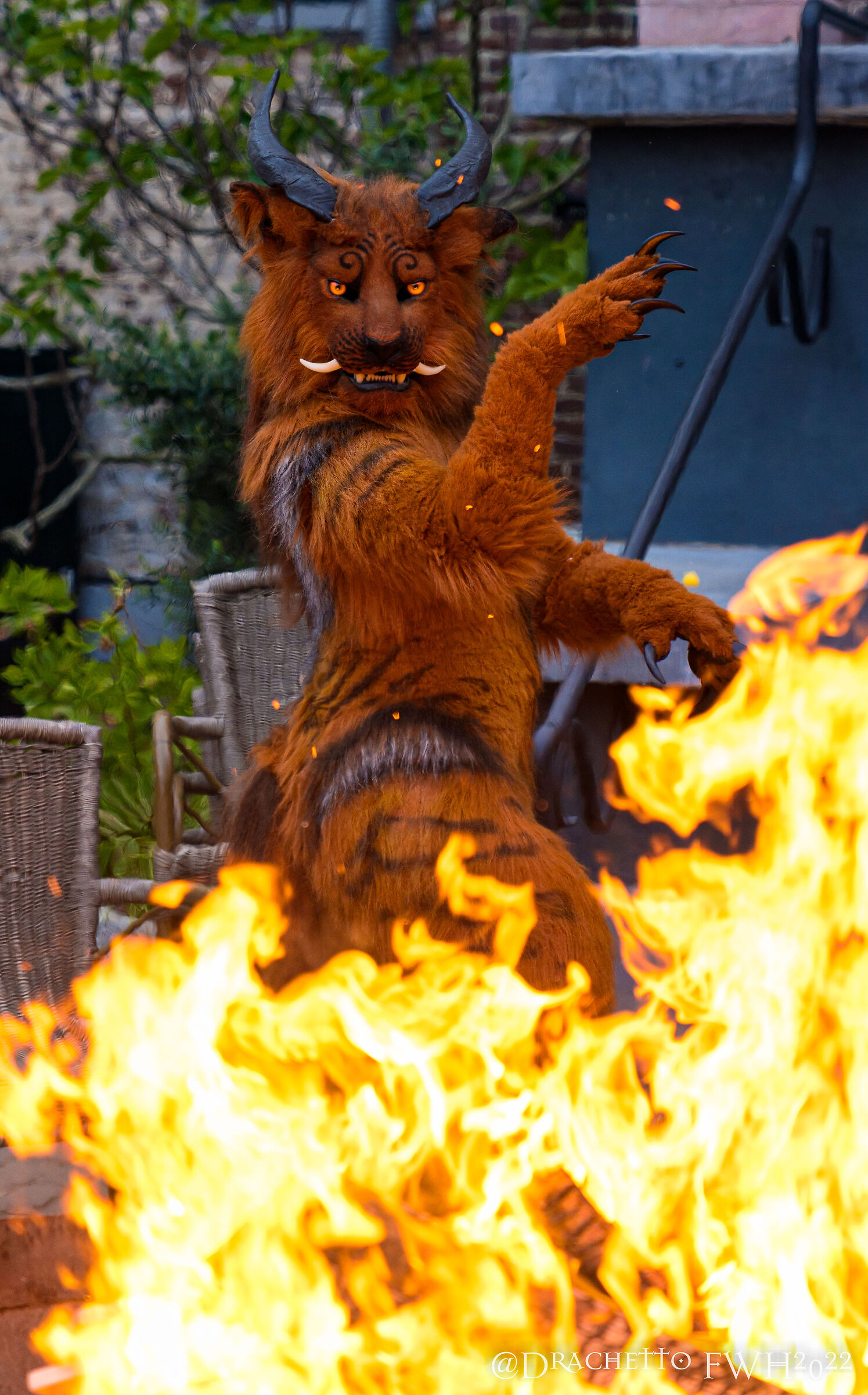 ShangFuDog at FWH2022