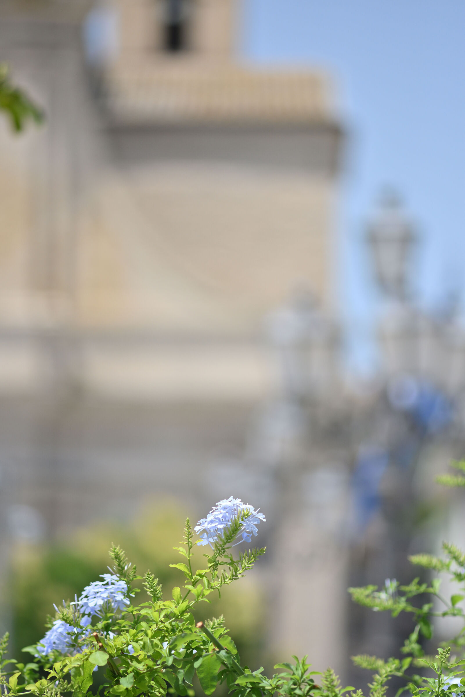 Test Nikkor 200 Ai f4 -36 px