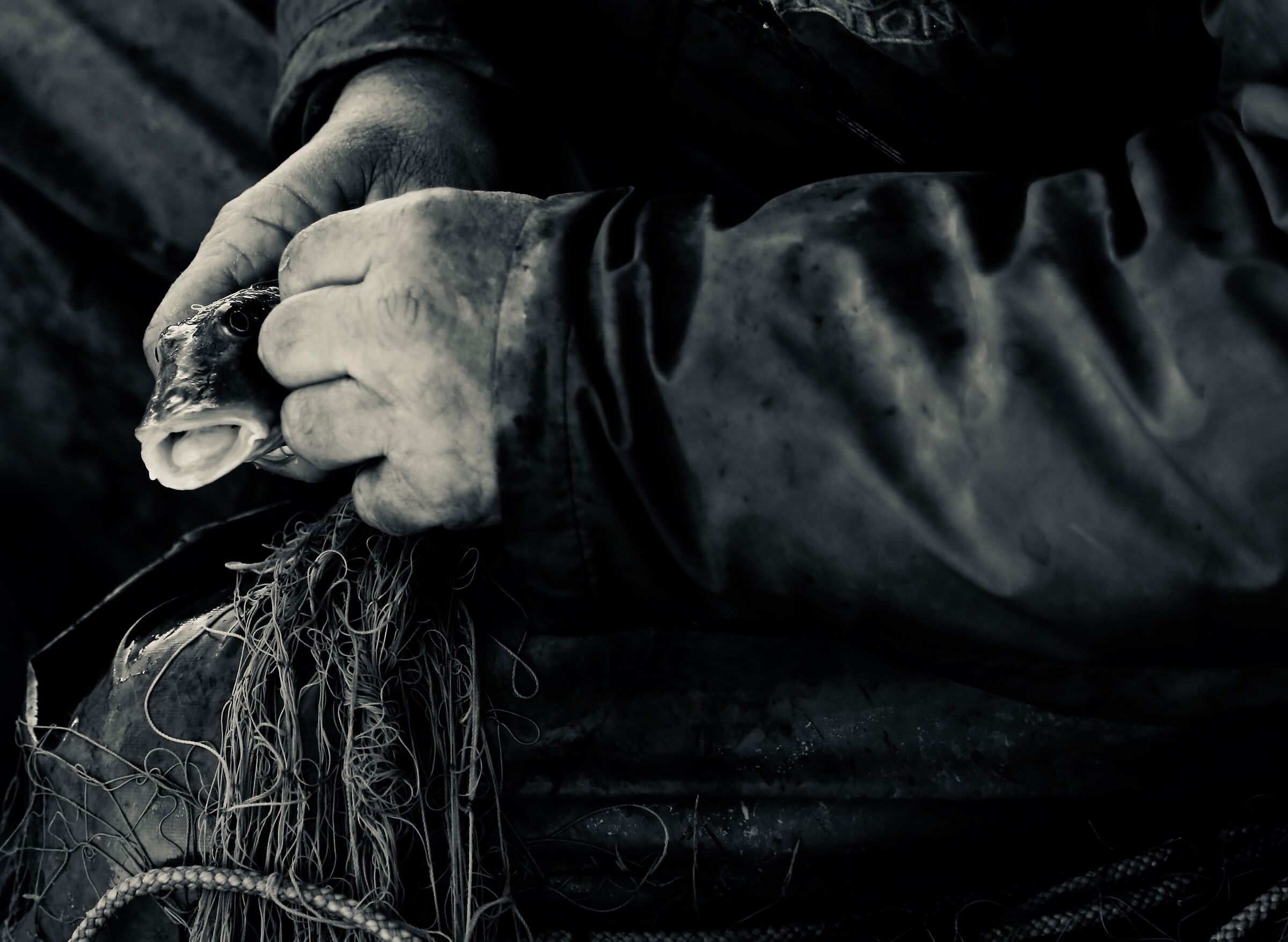 Fisherman