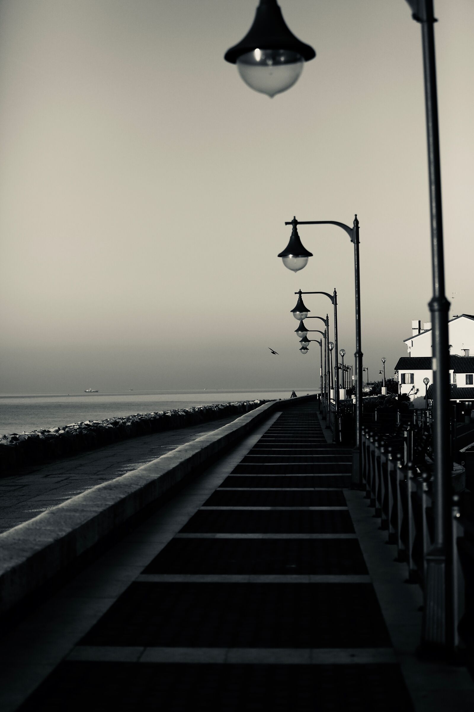 Walk