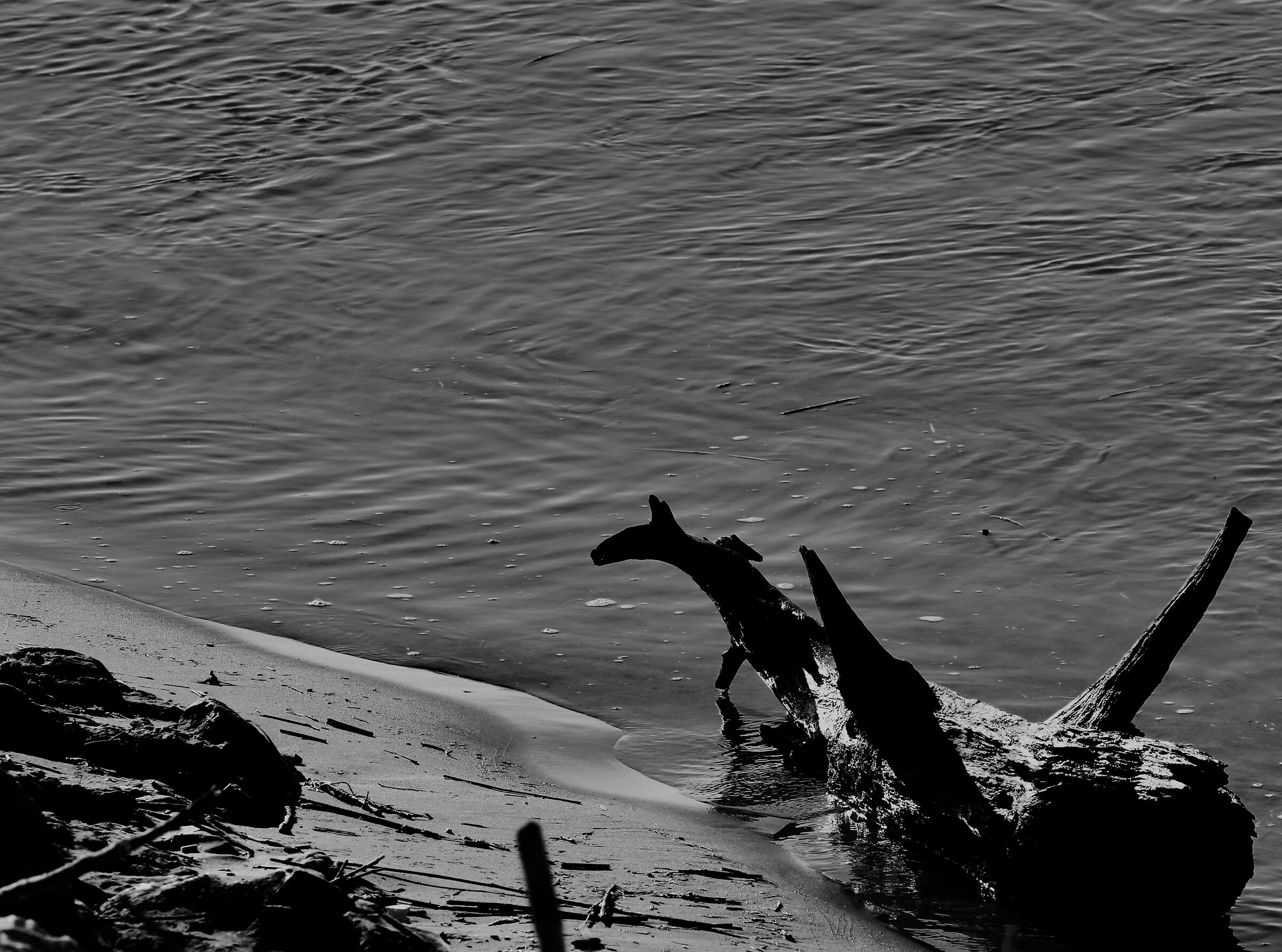 dal mare