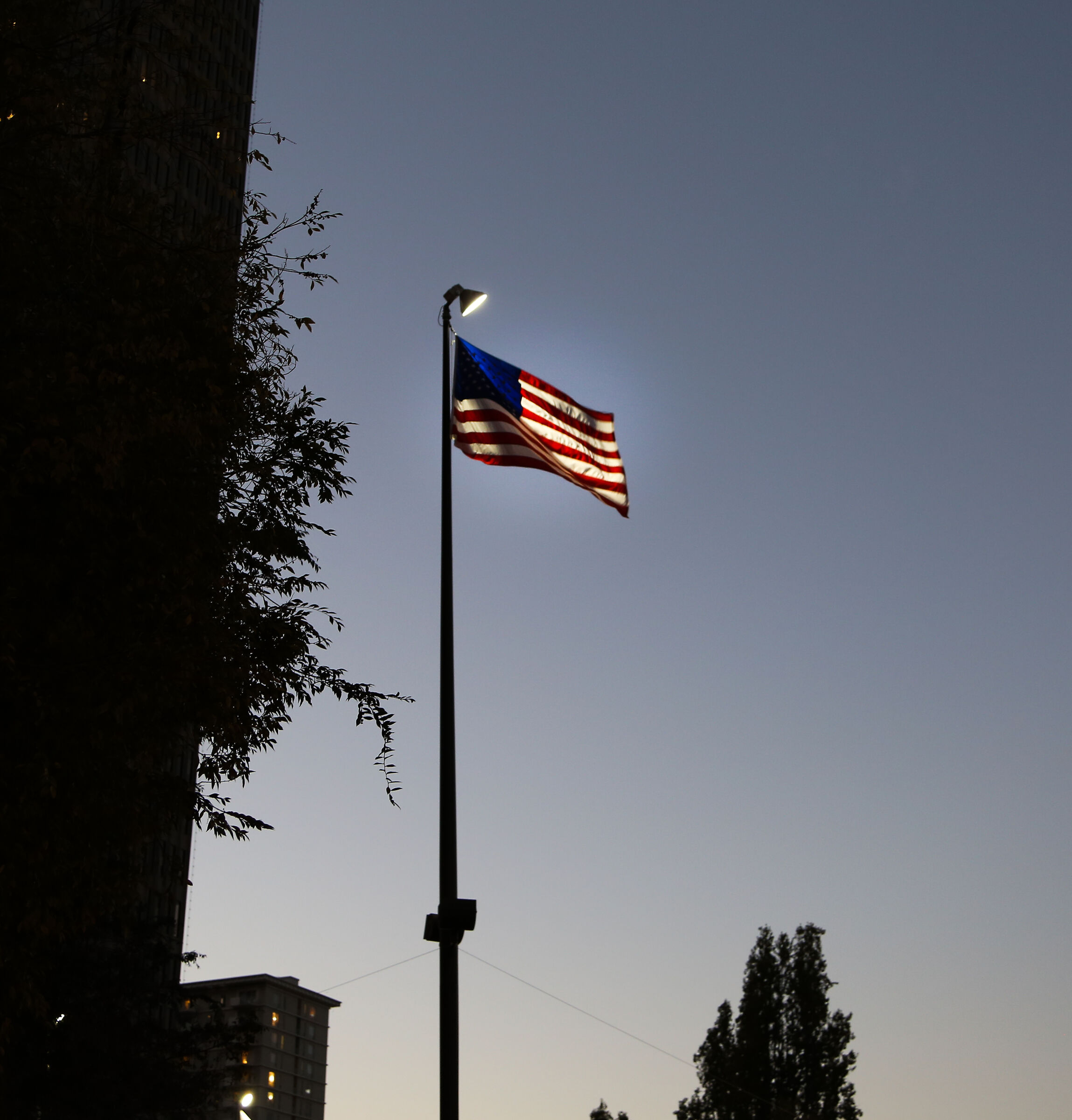 UsaFlag