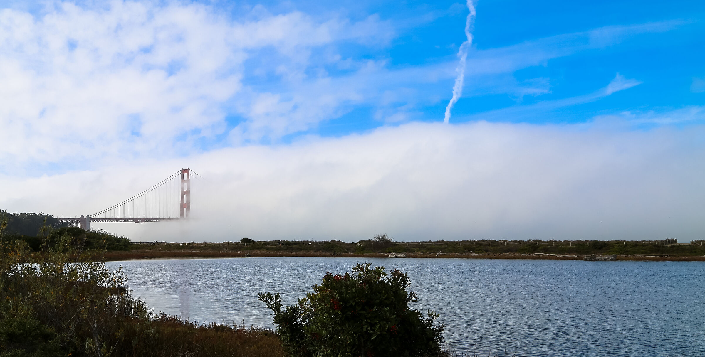 Fog