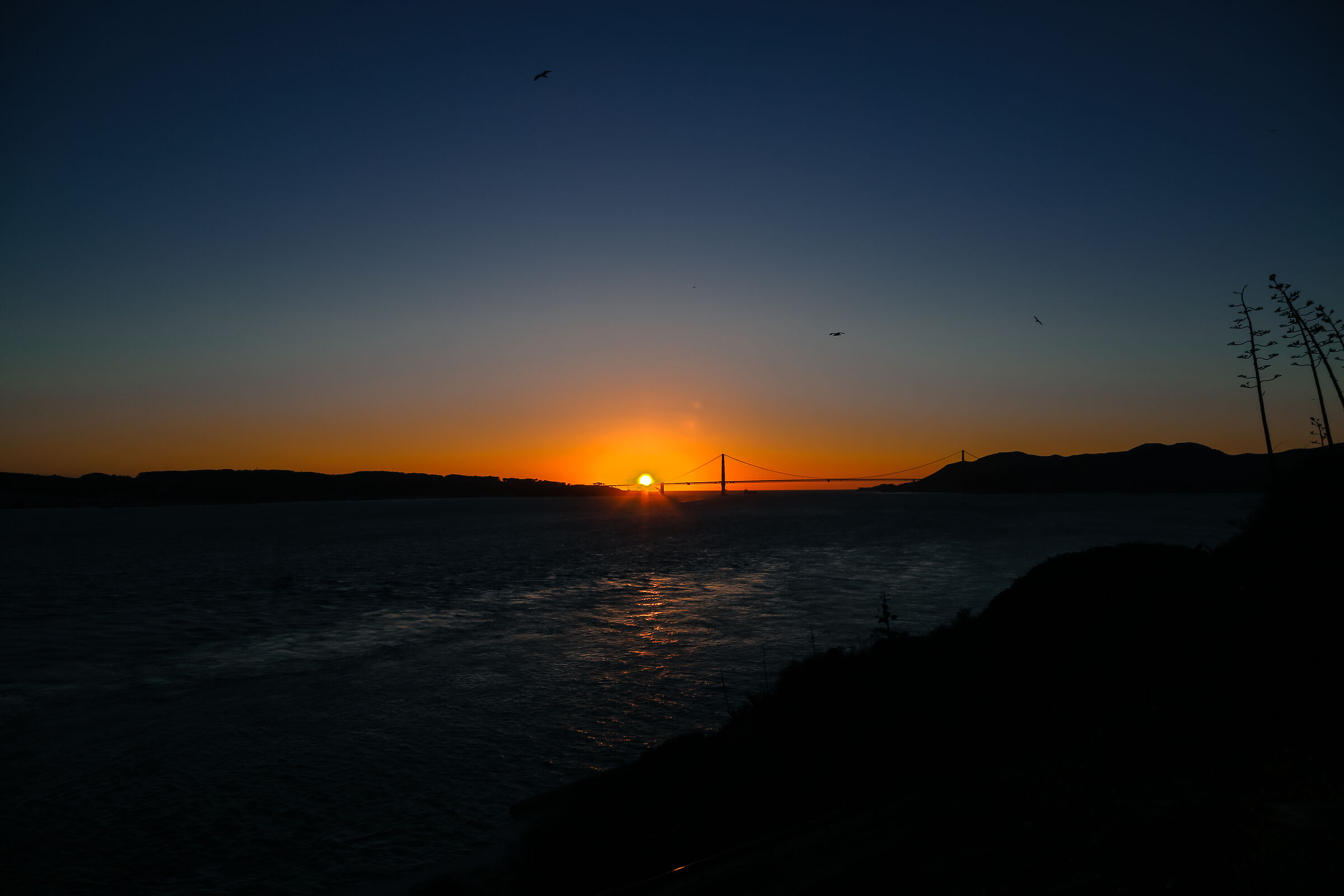 GoldenBridgesunset