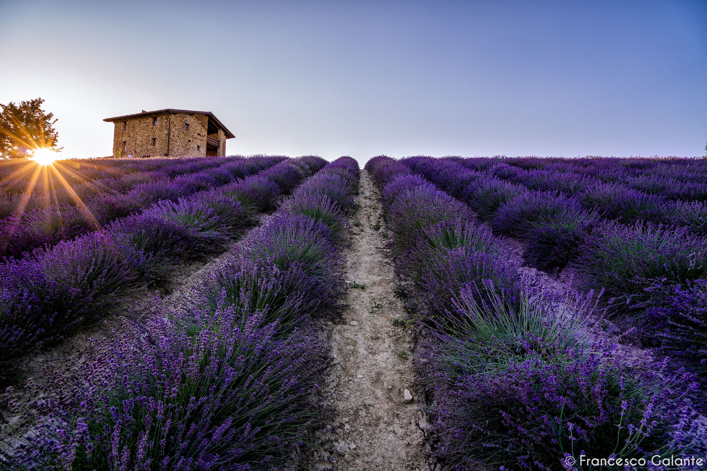 Tramonto in Lavanda - Sale San Giovanni
