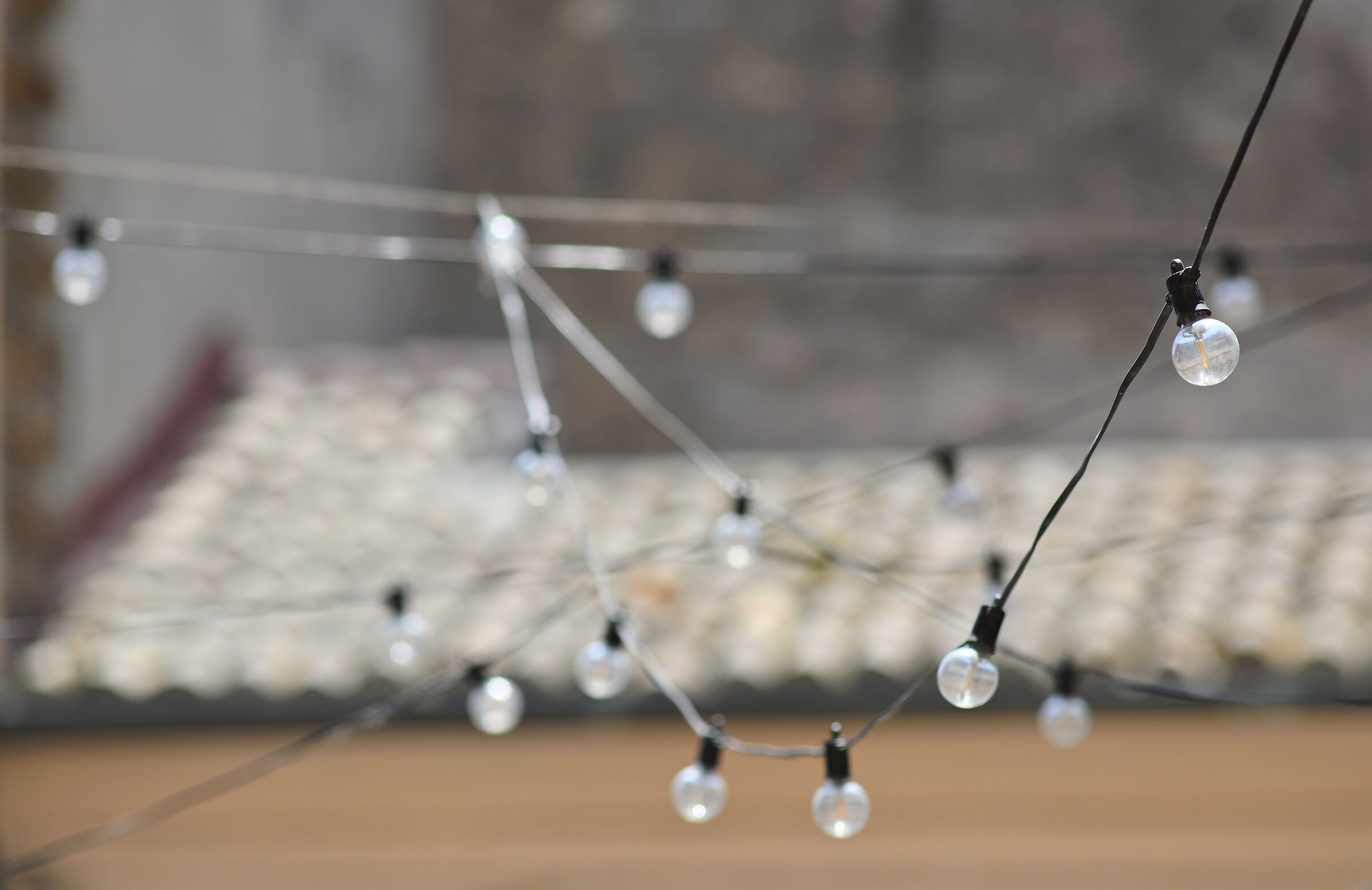 Test Nikkor 200 Ai f4 -36 Mpx