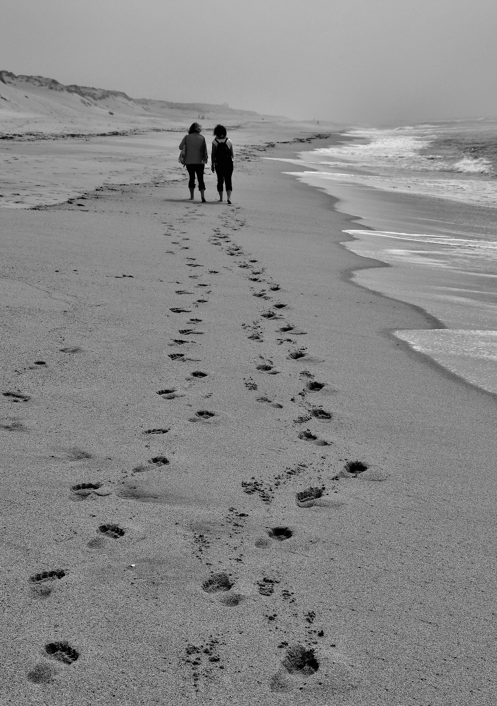 Footprints of friends
