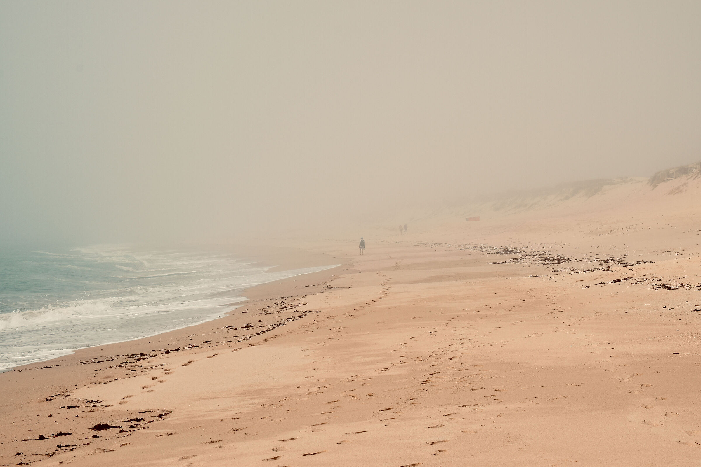 Fog