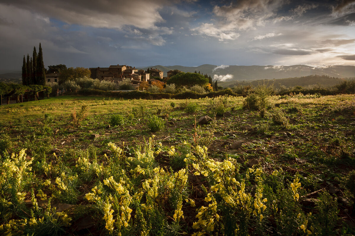 Under the sky of Chianti ...